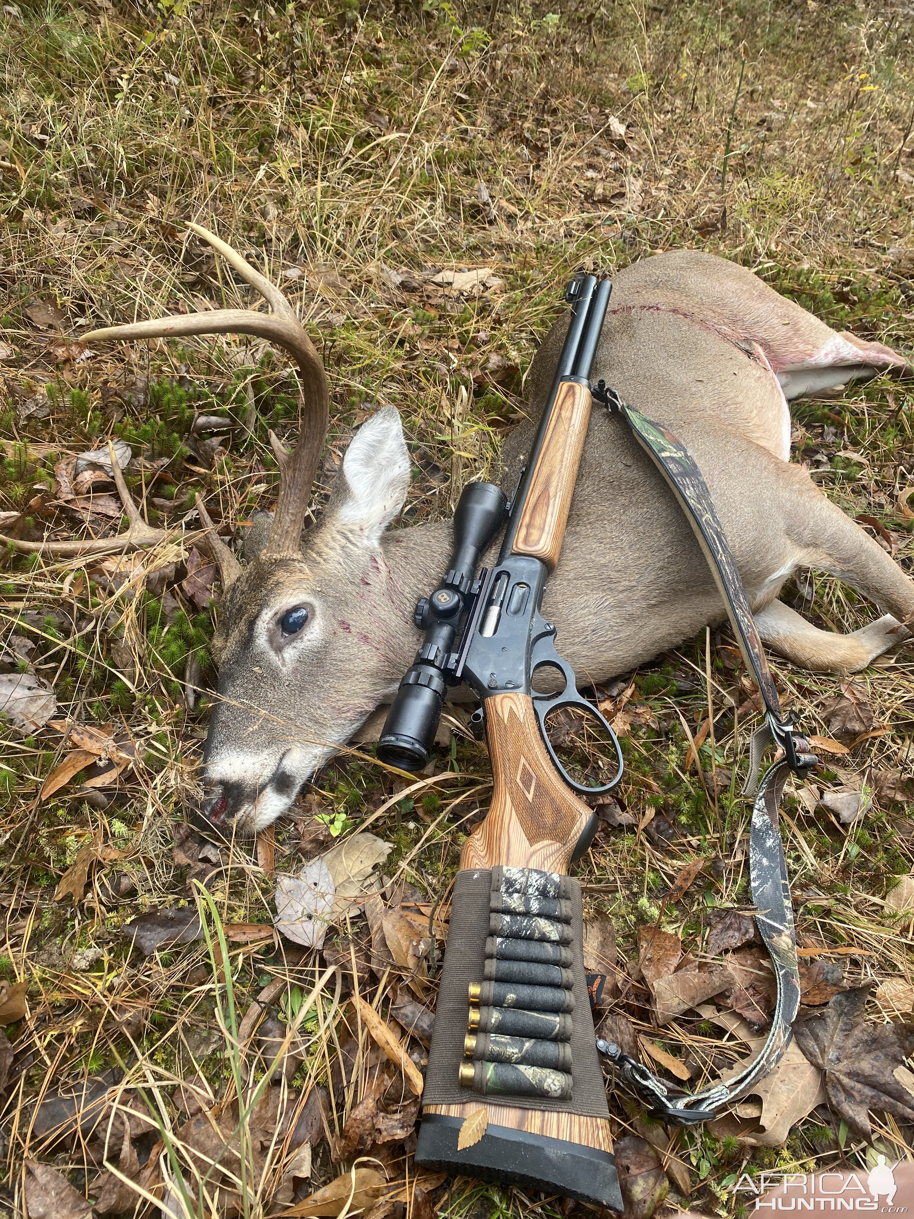 USA Hunting White-tailed Deer