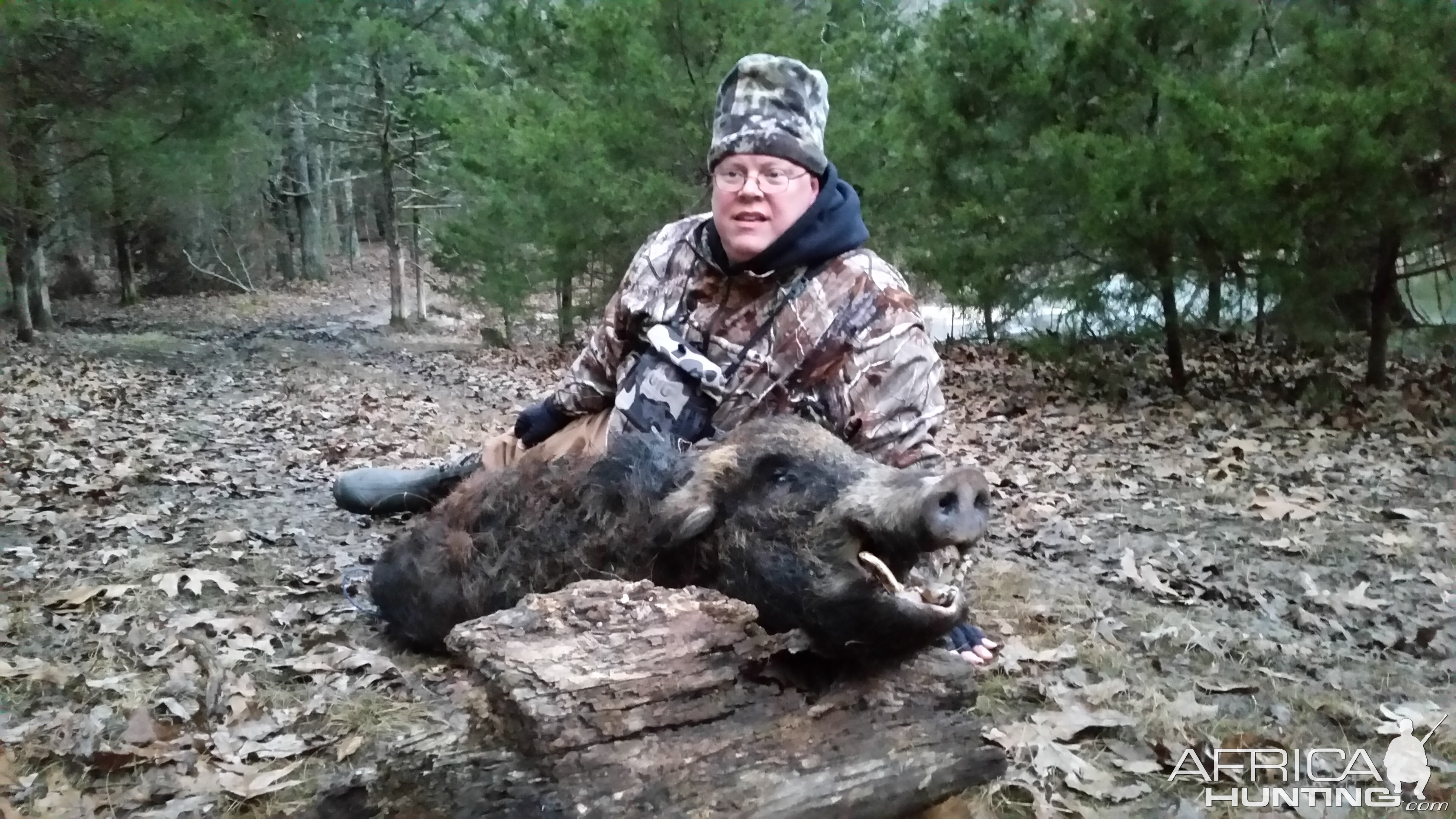 USA Hunting Wild Boar