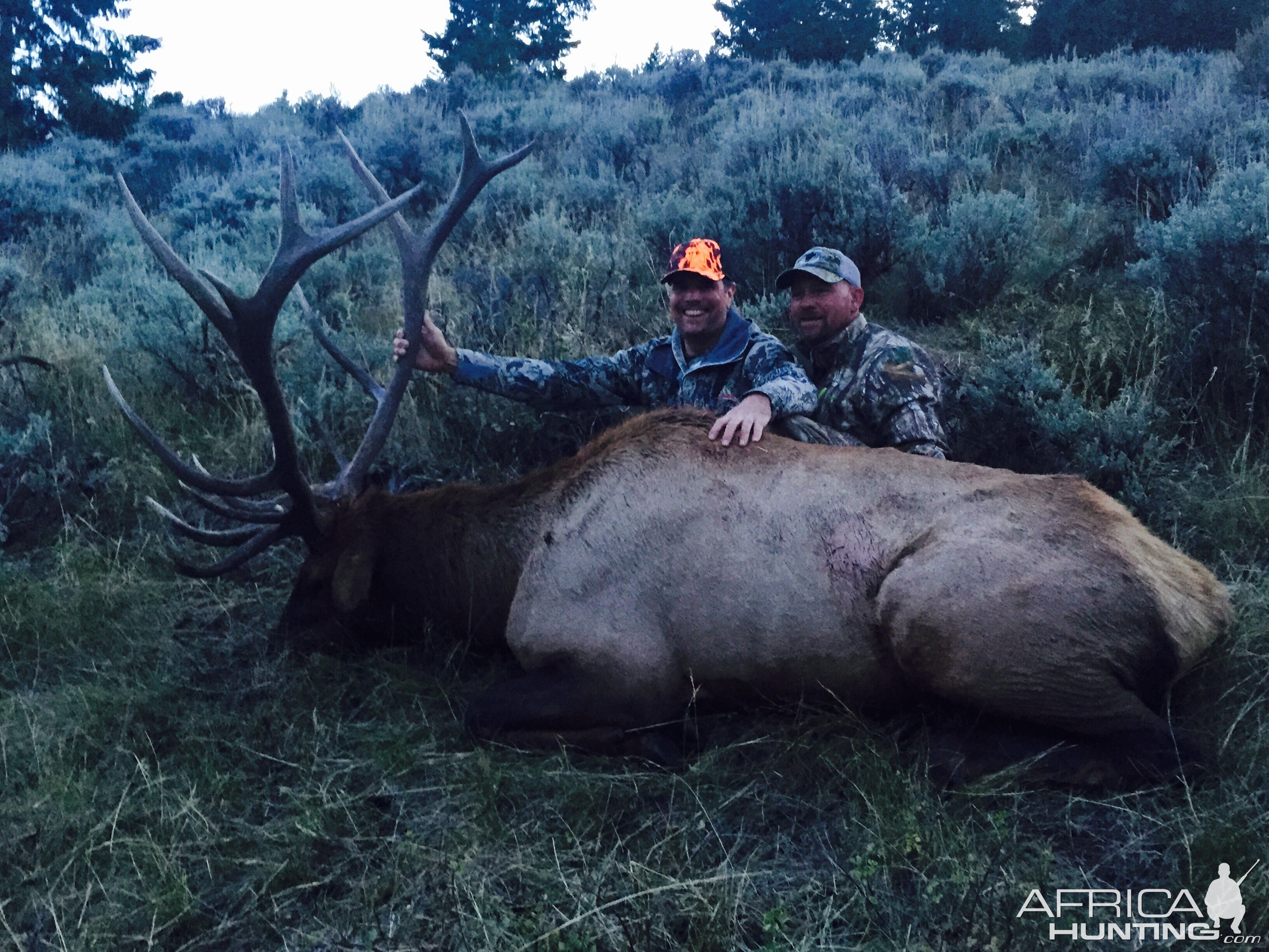 Utah Elk Hunting