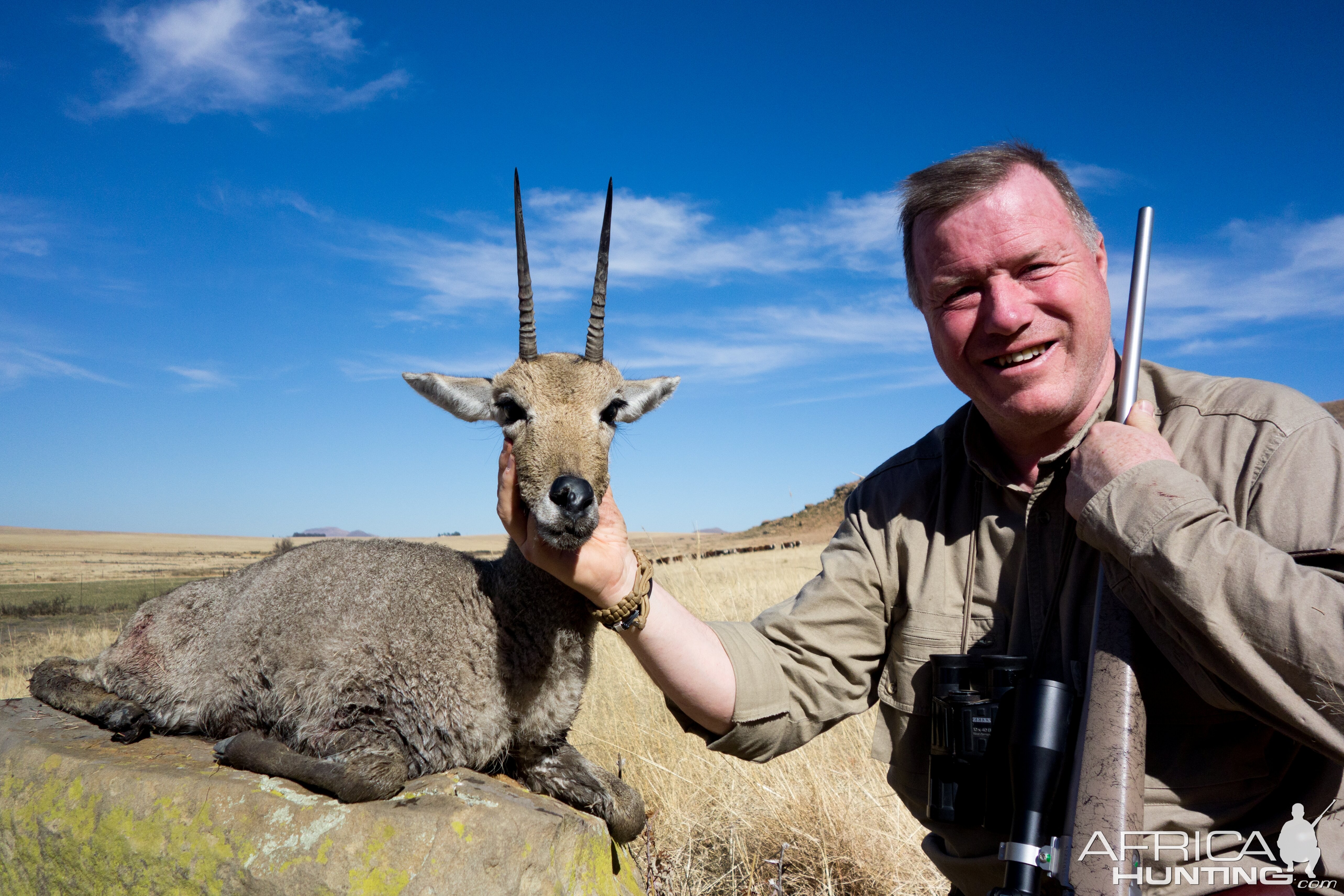 Vaal Rhebok Hunting South Africa