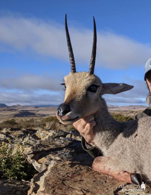 Vaal Rhebuck Hunt South Africa