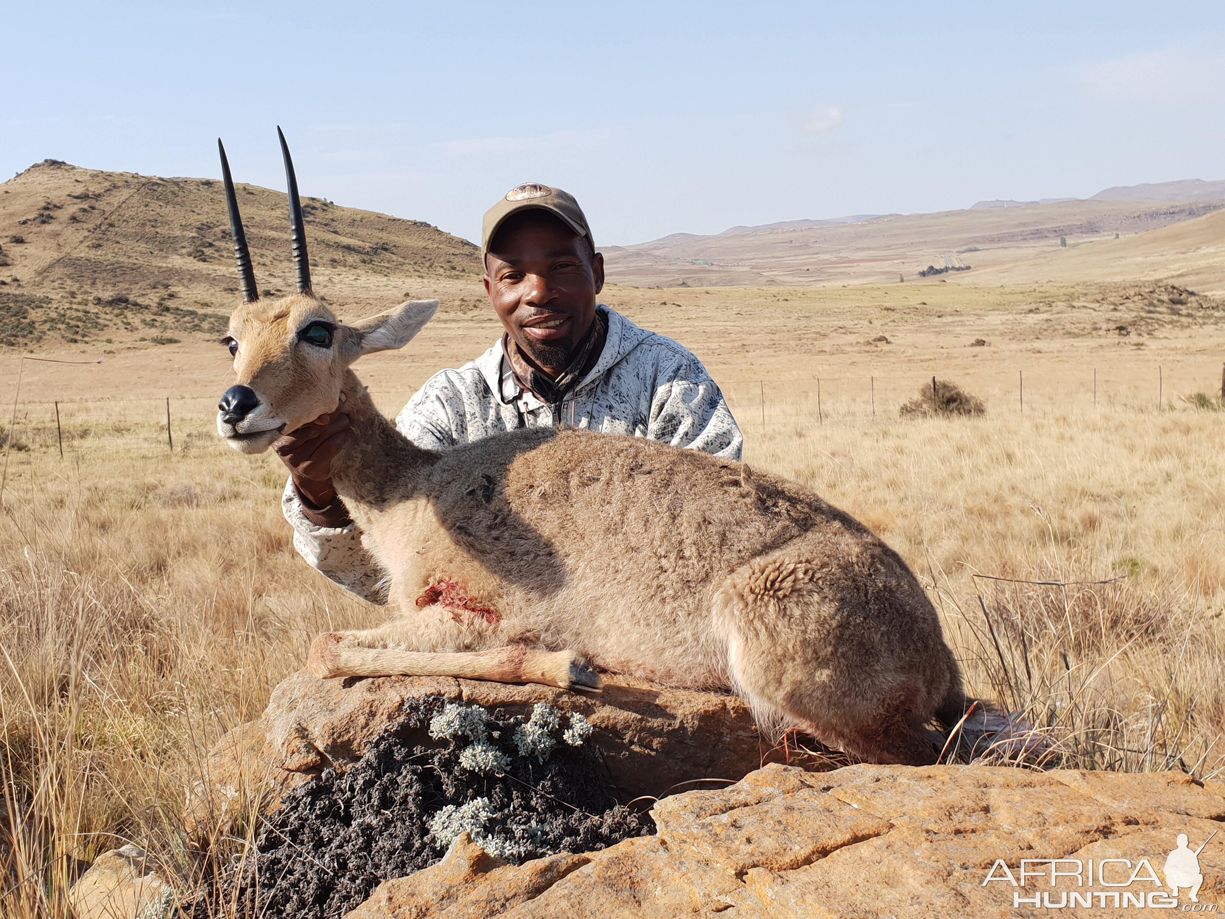 Vaal Rhebuck Hunting Eastern Cape South Africa