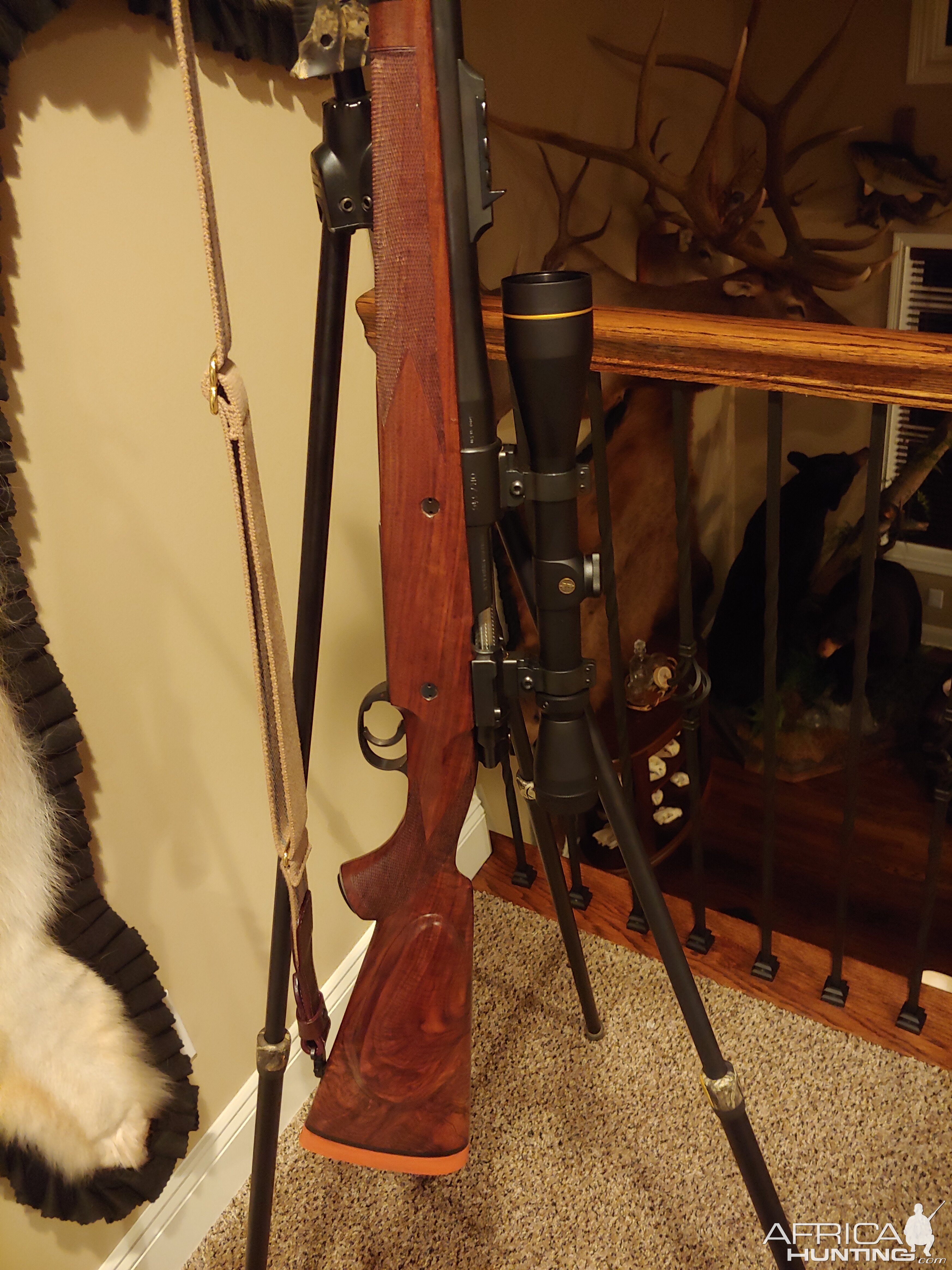 vc. 24 300 H&H Rifle