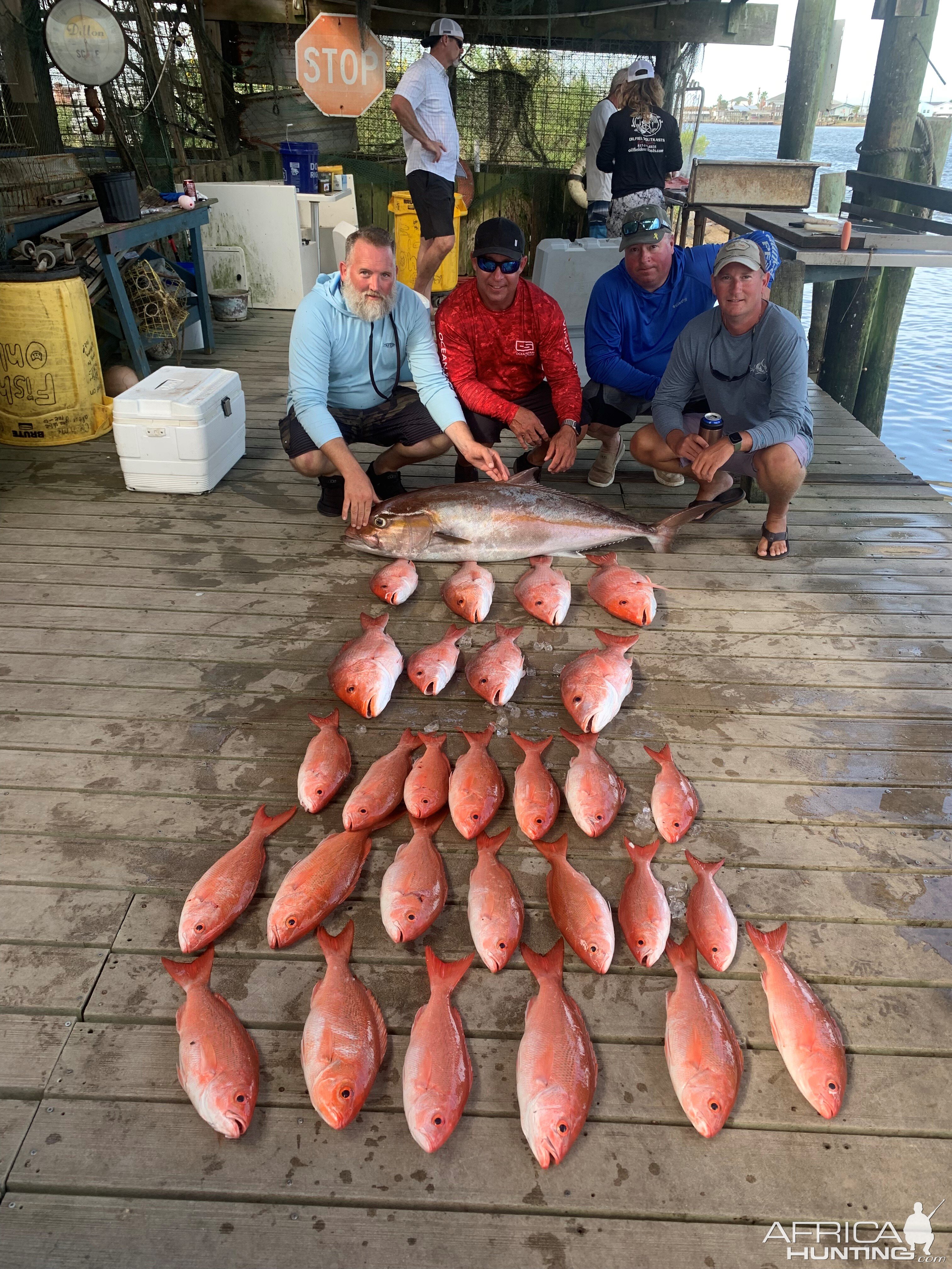 Vermilion Snapper & Amber Jack Fishing