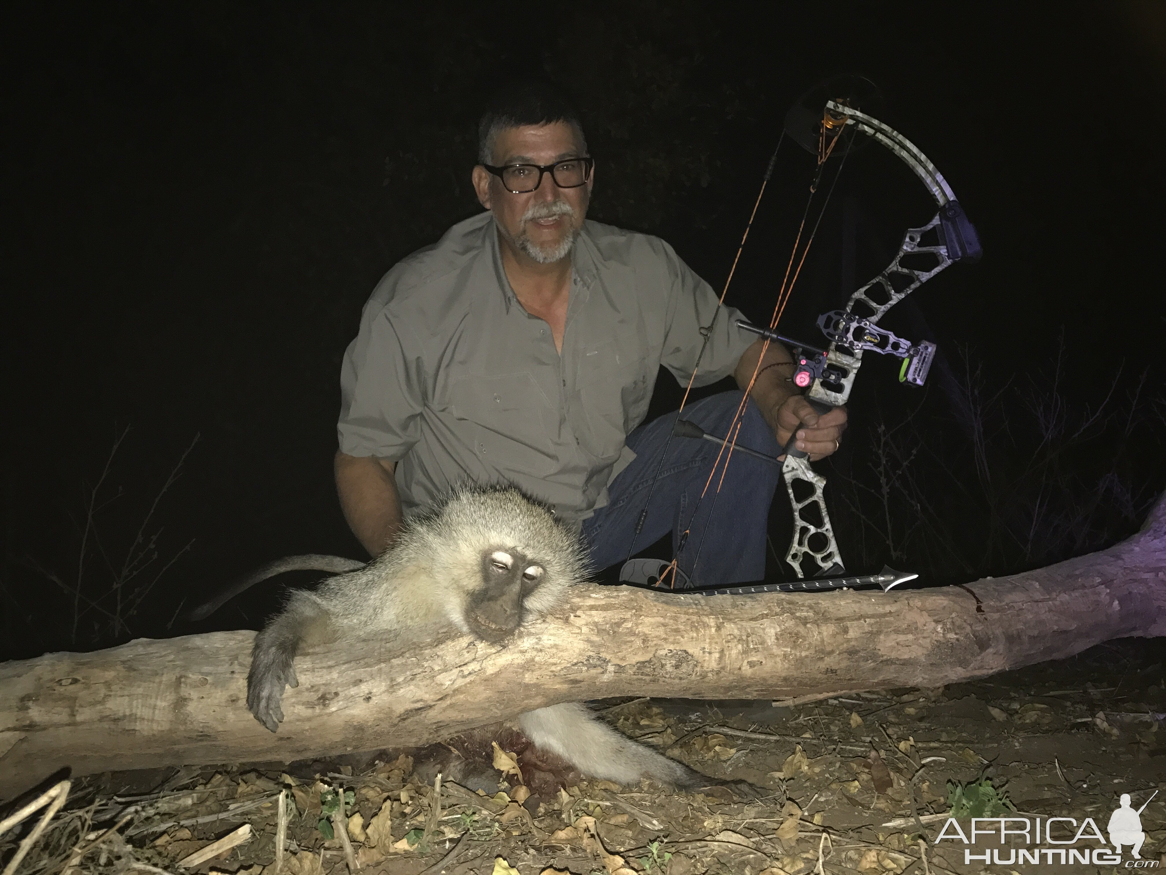 Vervet Monkey