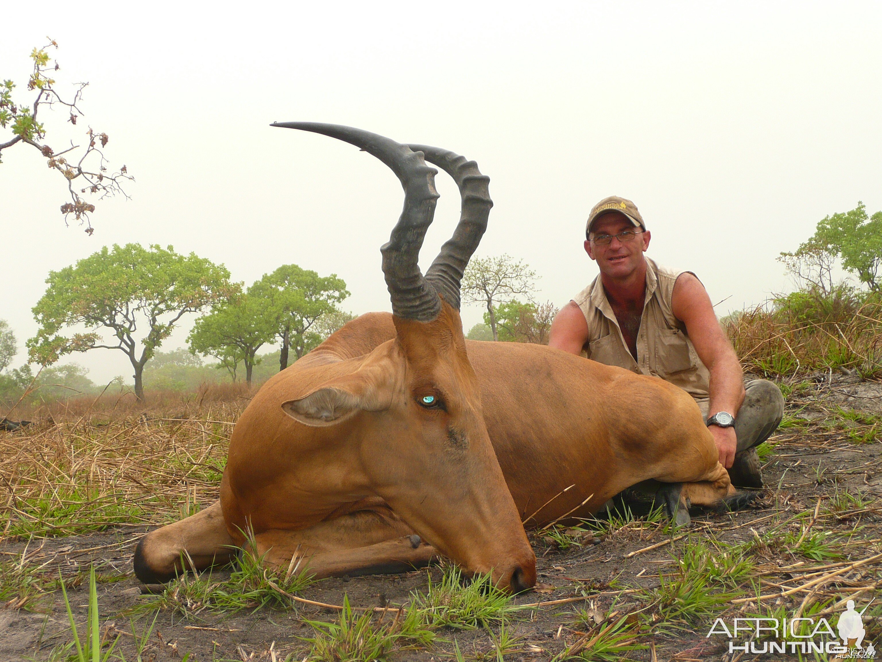 Very good 24' inches lelwel hartebeest hunted in Central African Republic