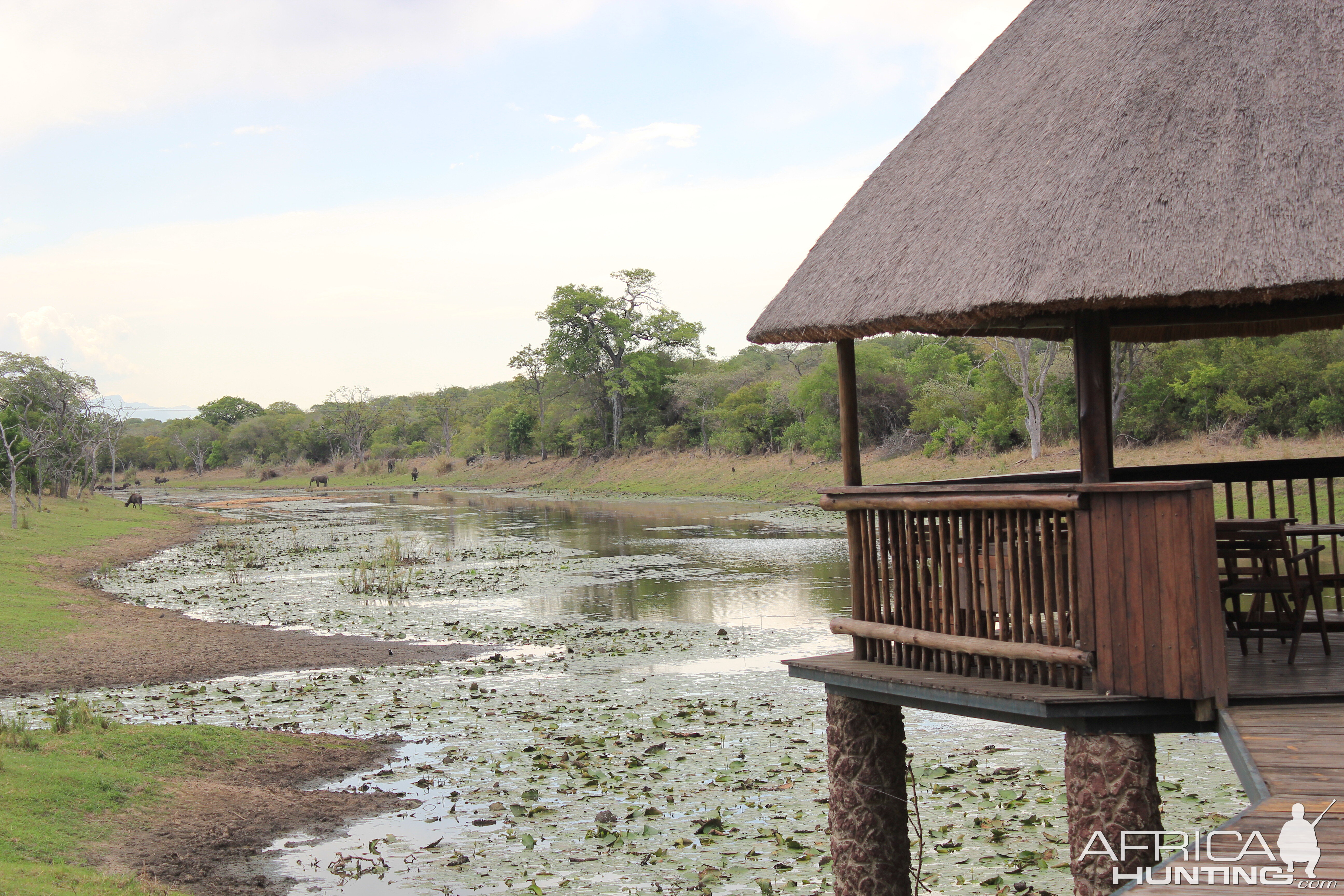 View from Bushbuck Lodge Pro Hunting Safaris