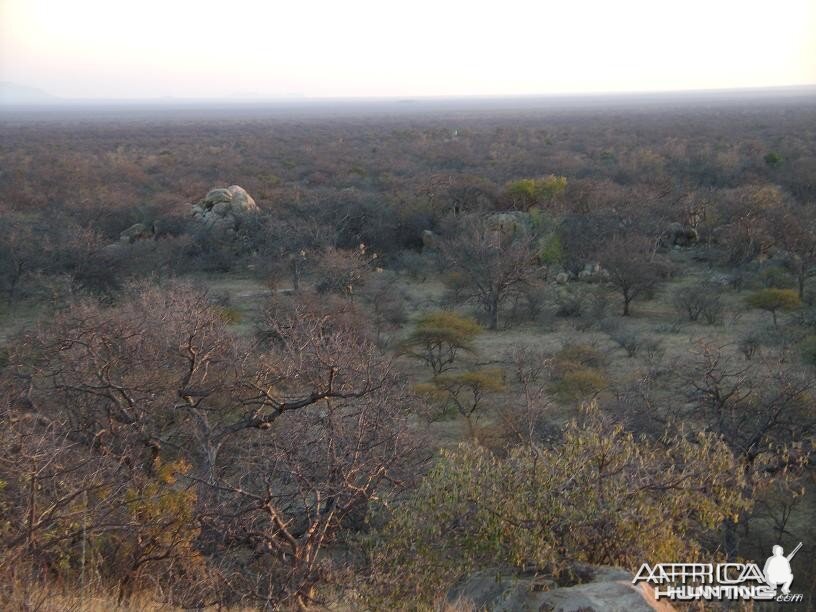 View of Kgaka Safaris