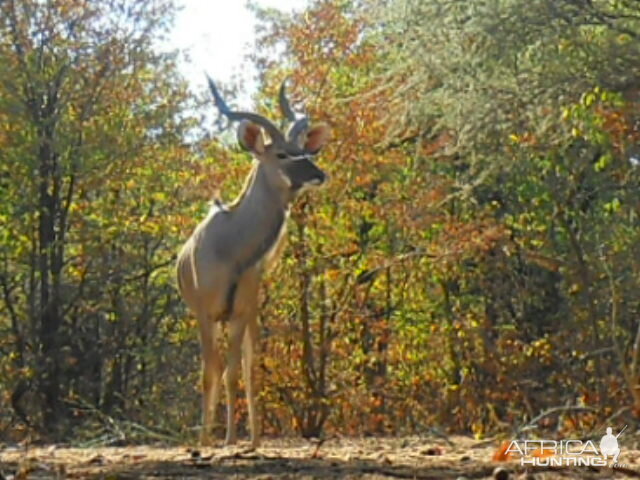 View of Kudu from blind