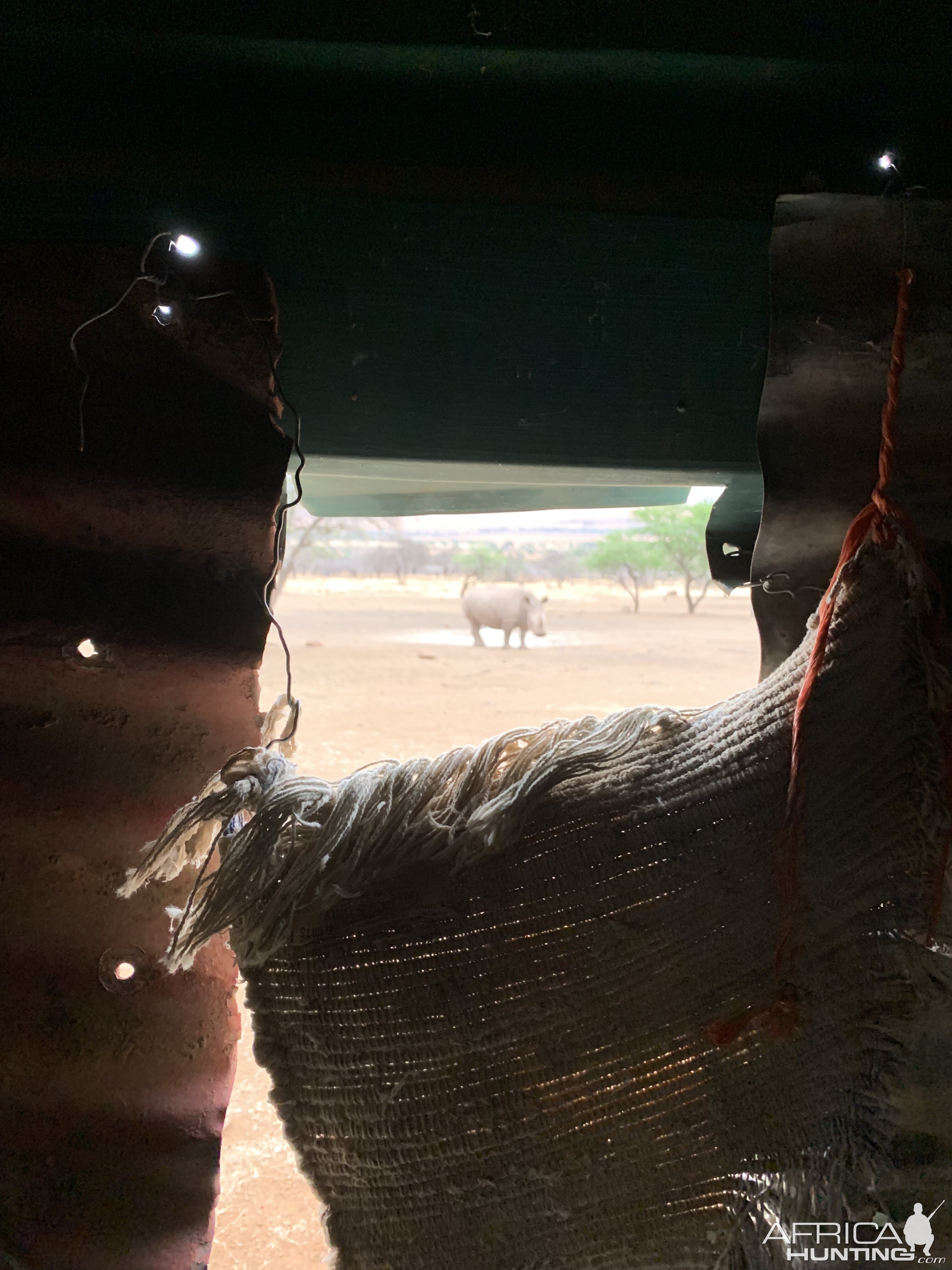 View of Rhino from Blind South Africa