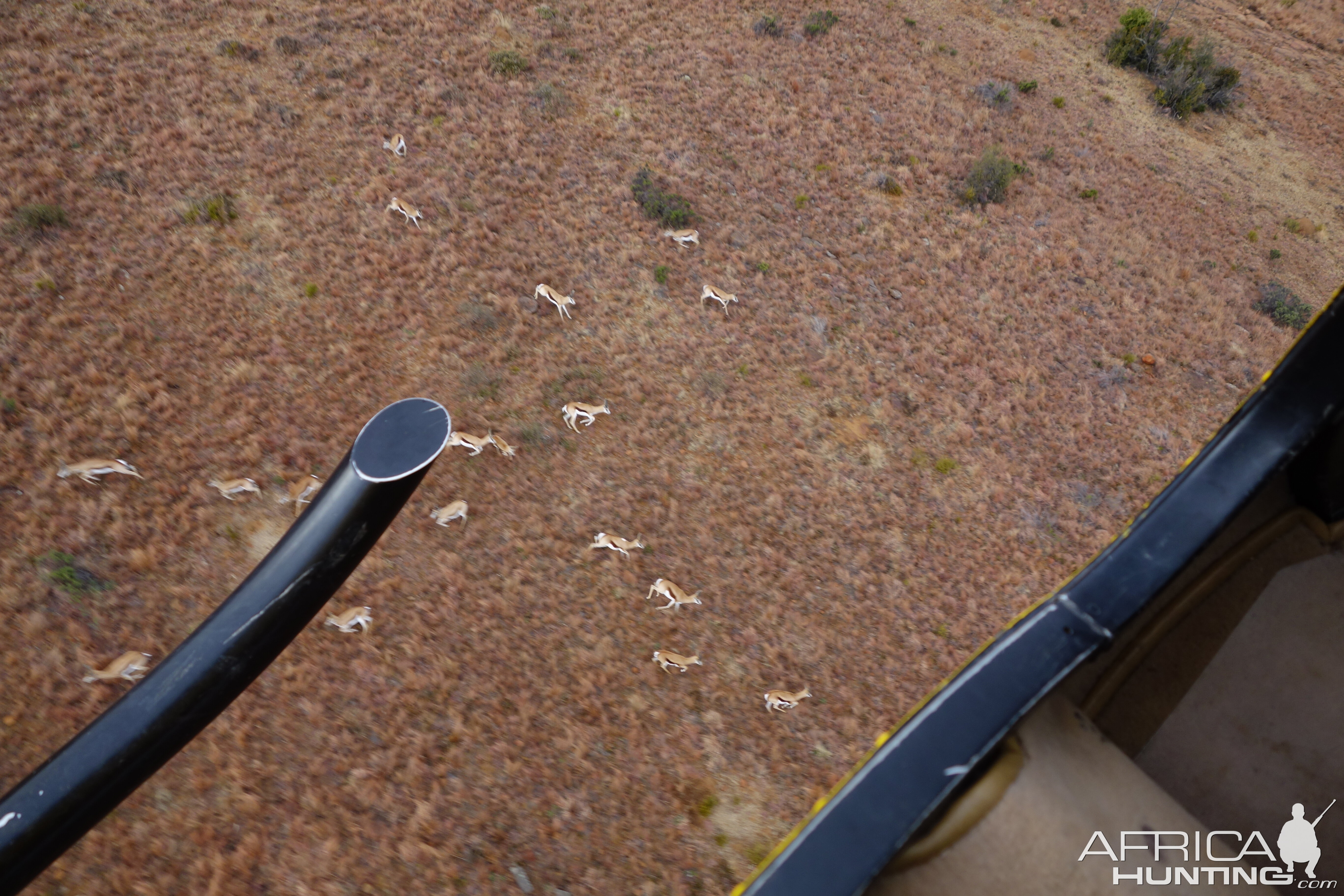 View of Springbok from helicopter