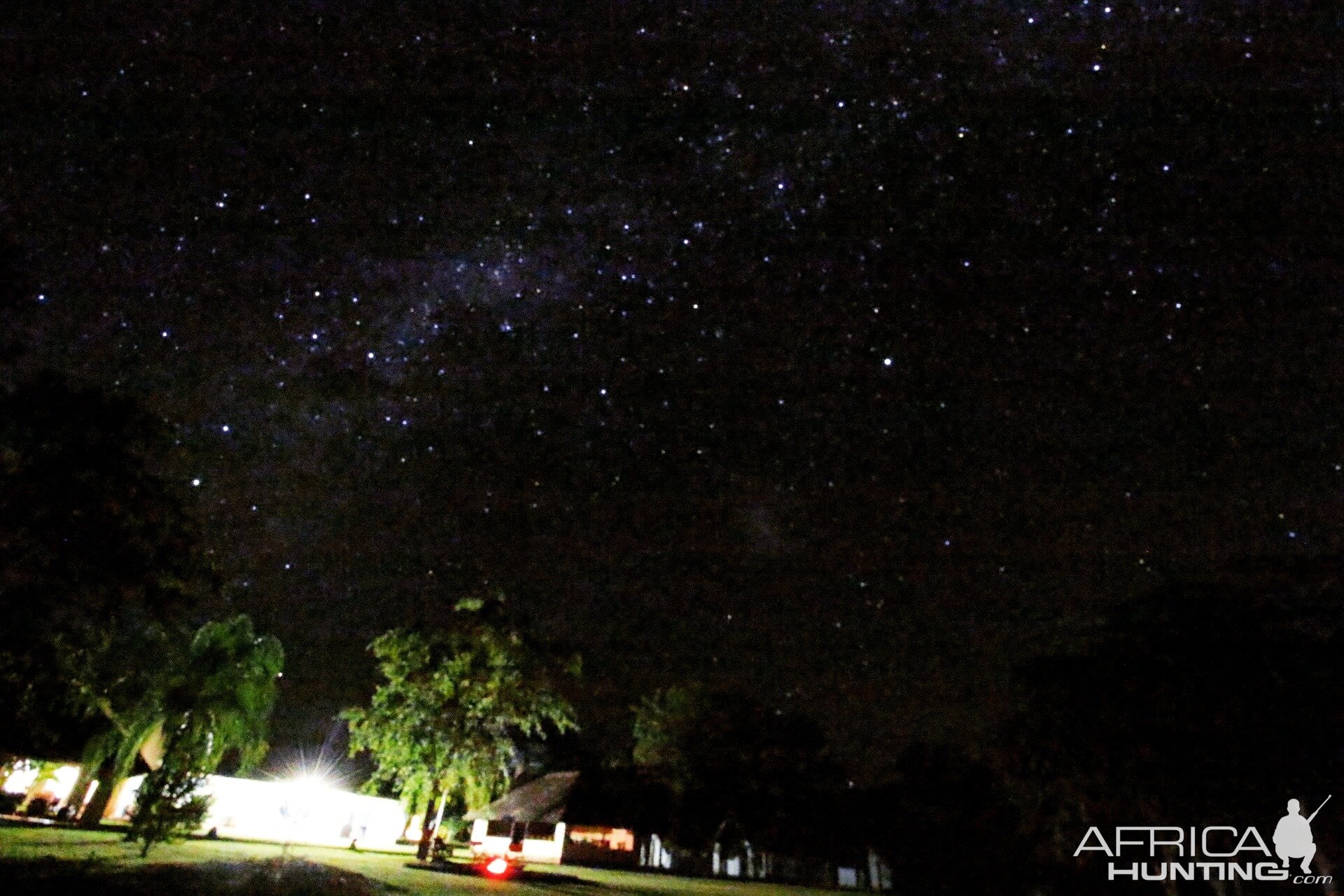 View of the stars from the Lodge