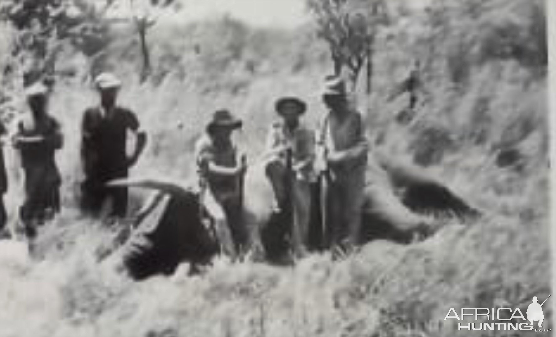 Vintage Tanzania Elephant Safari