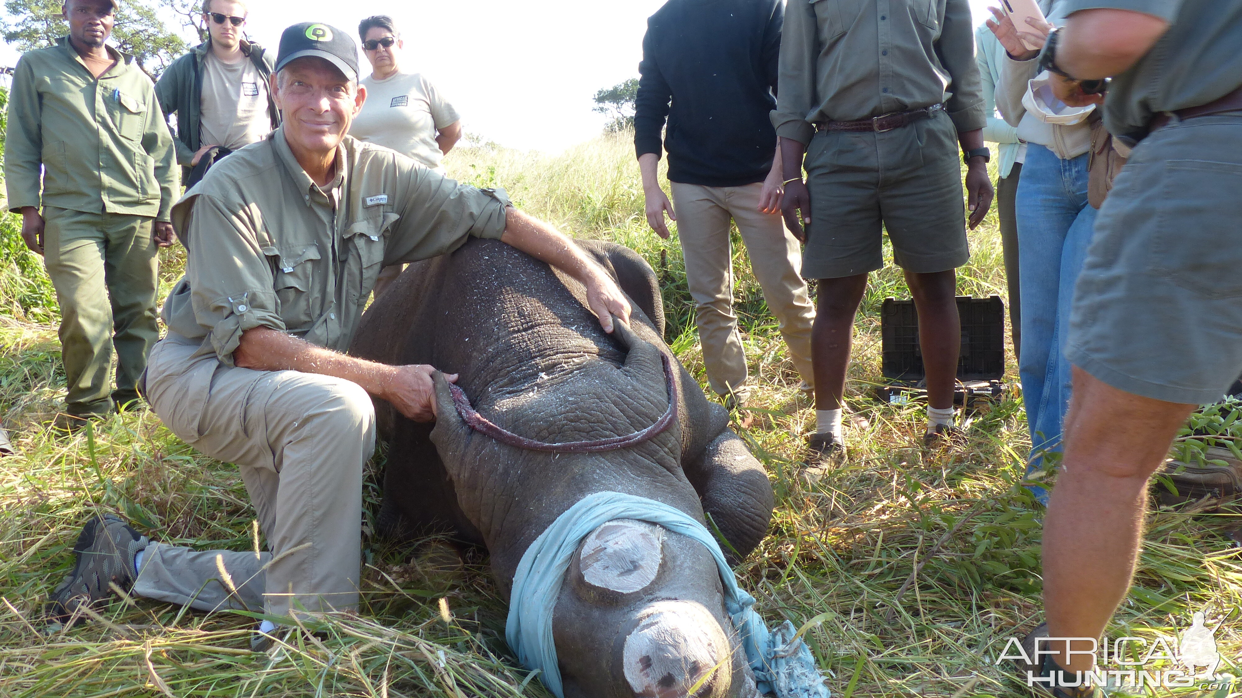 Volunteering on wildlife reserves and with wildlife veterinarians in Africa