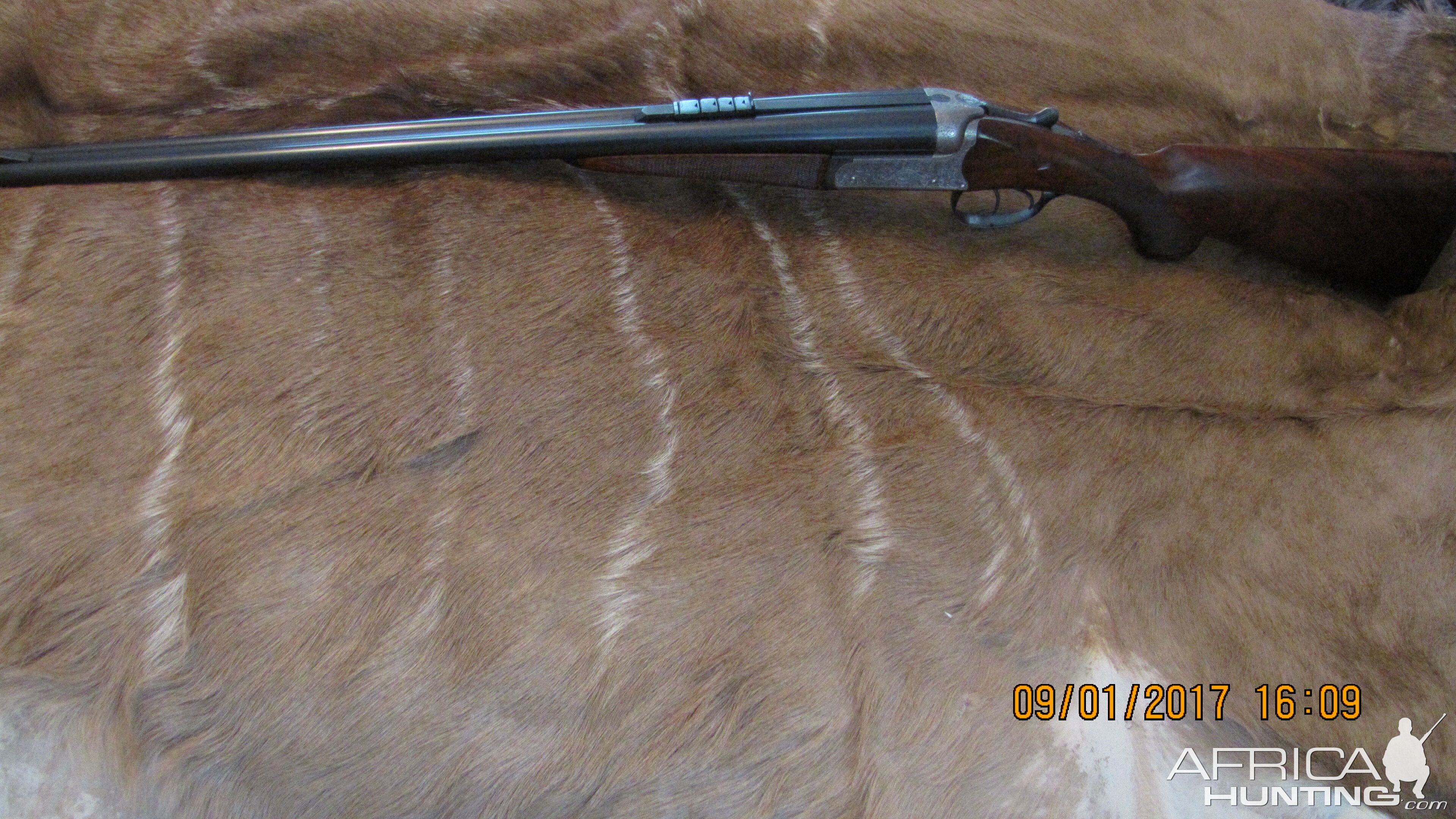 W. J. Jeffery Double Rifle chambered in 450 NE No2