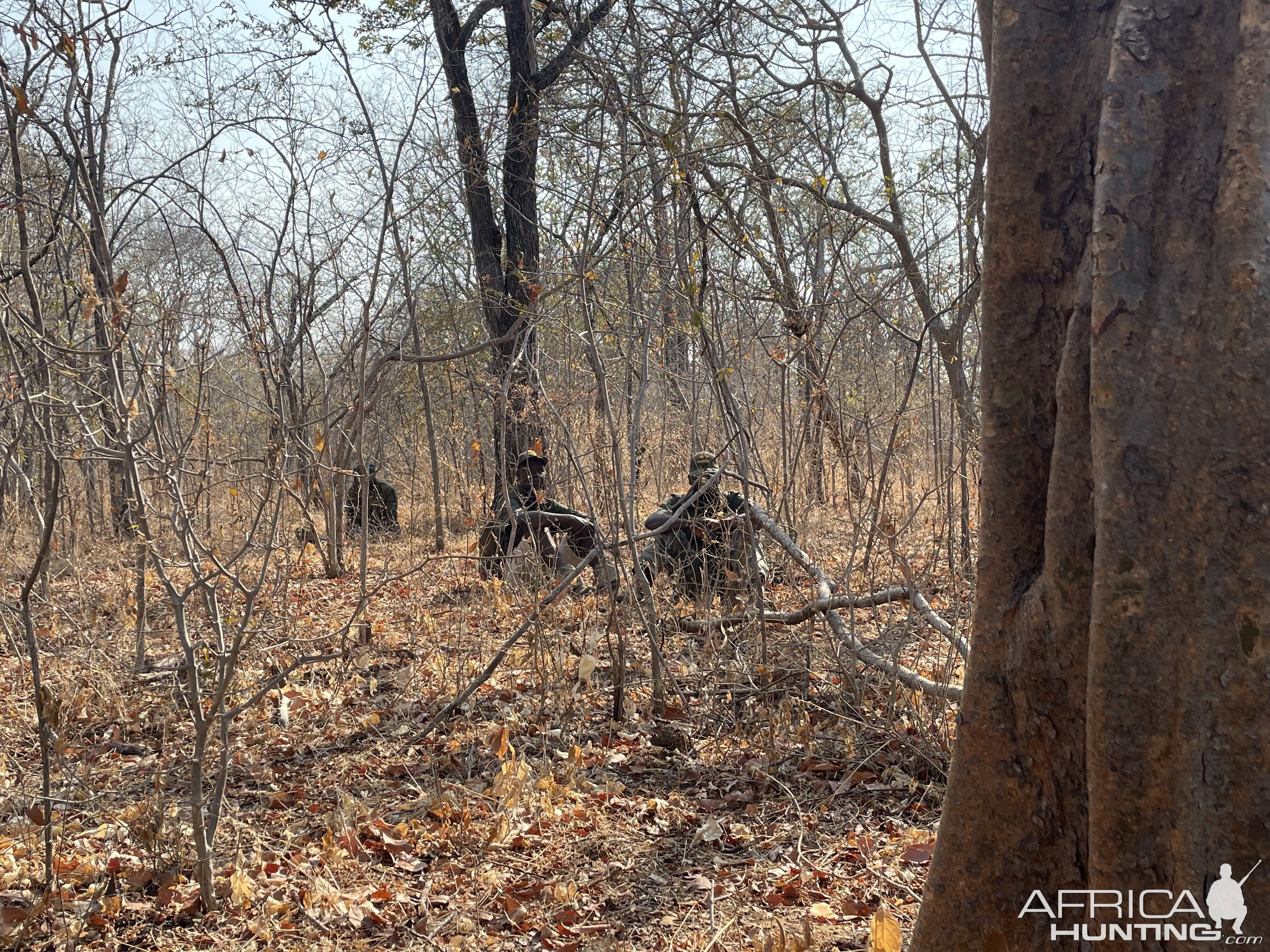 Waiting For Buffalo Mozambique