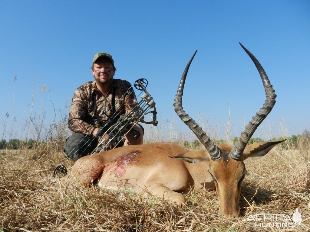 walk n stalk impala