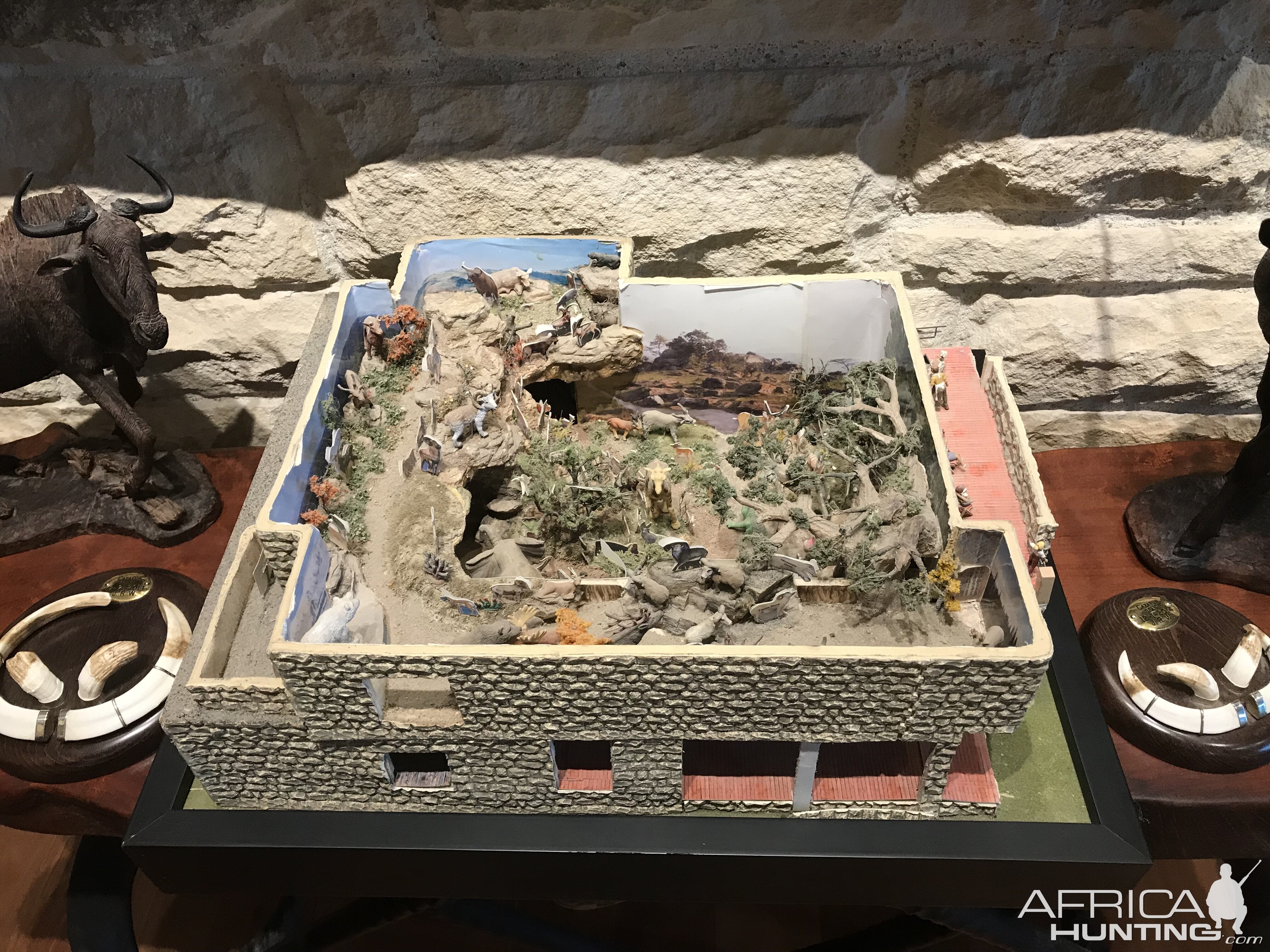 Warren Wildlife Gallery