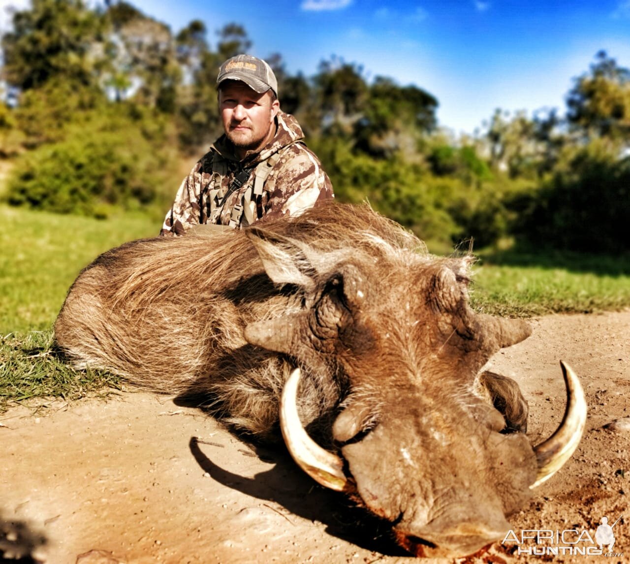 Warthog Bow Hunt South Africa