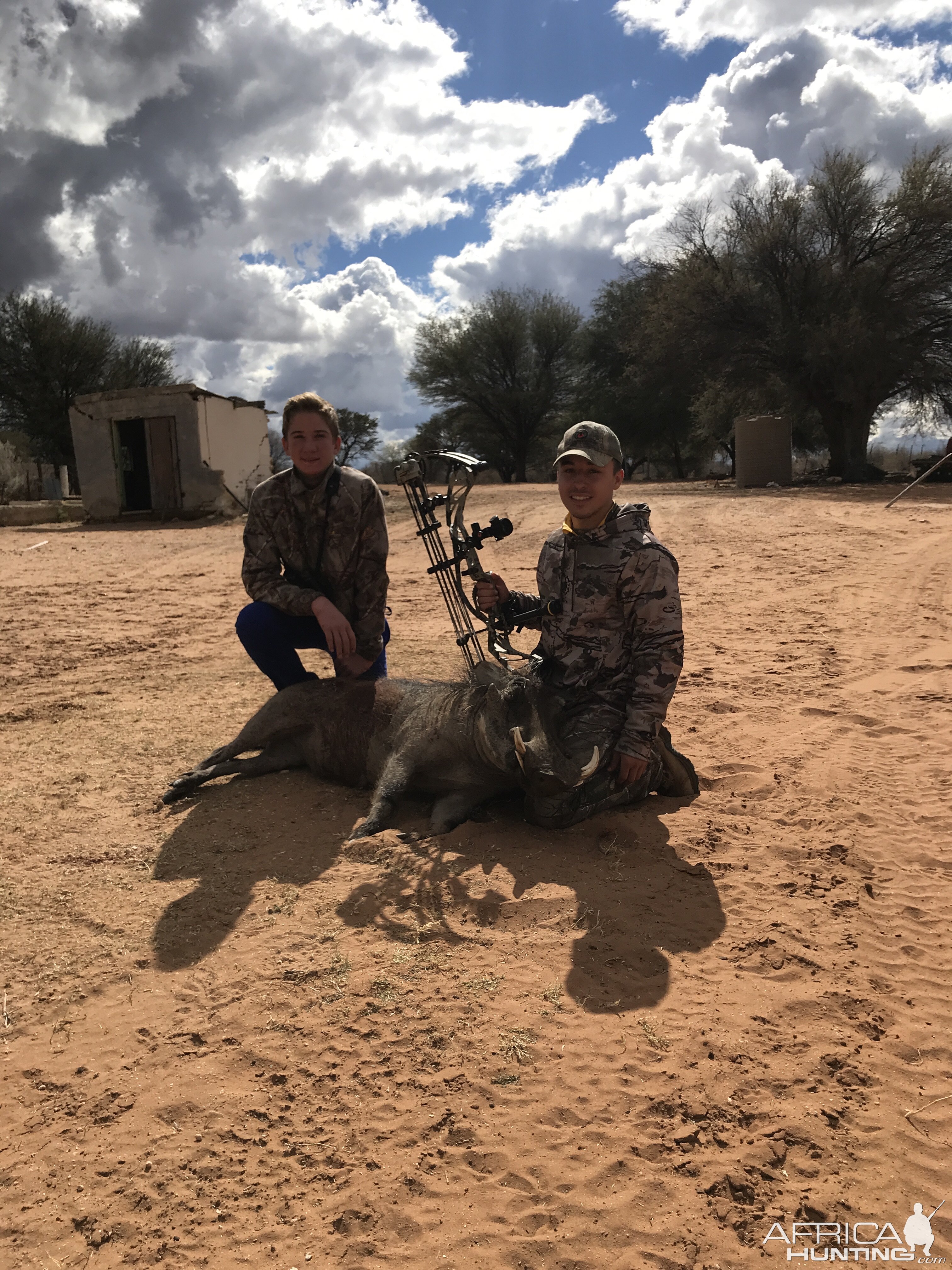 Warthog Bow Hunting Namibia