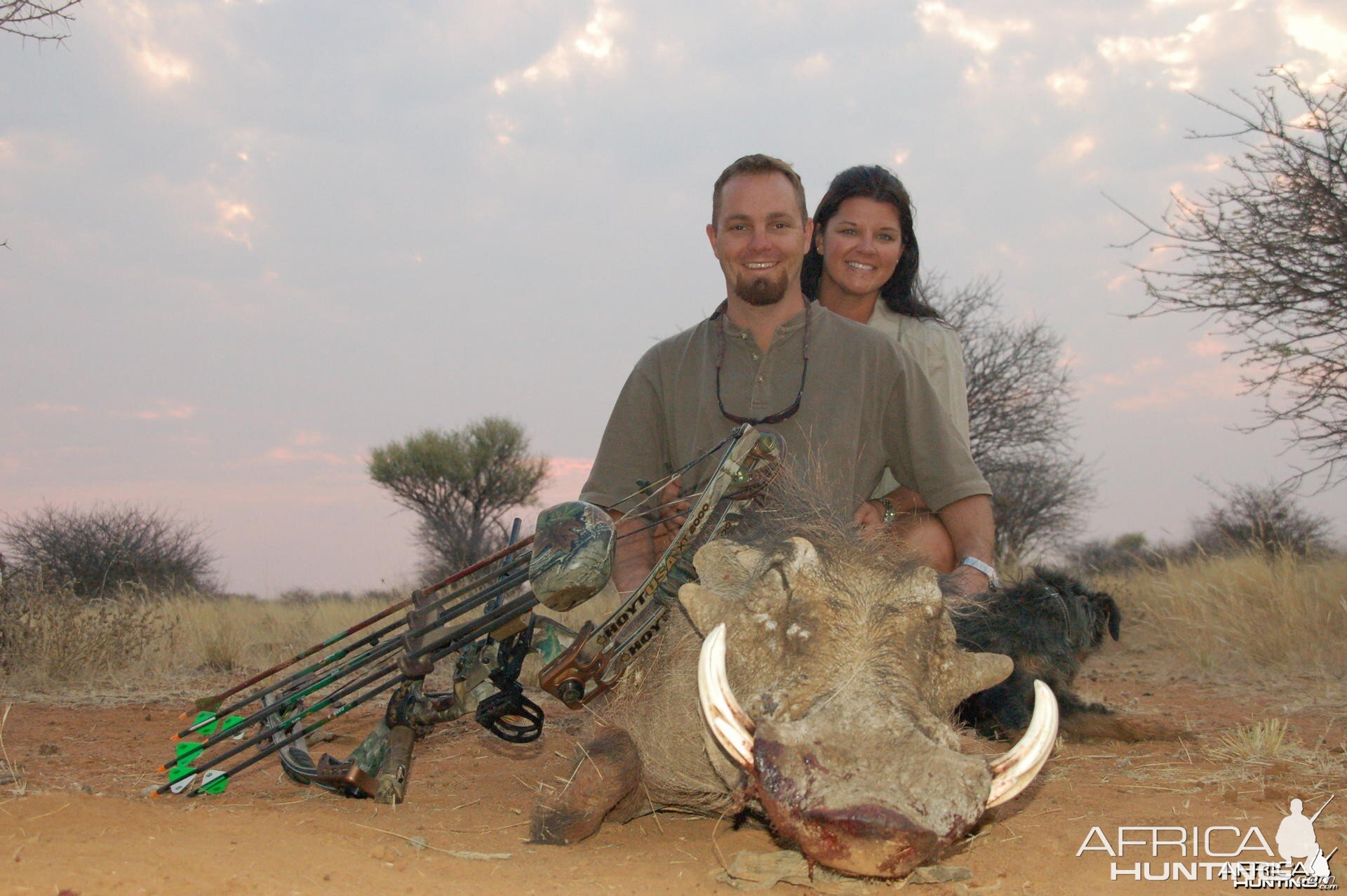 Warthog bowhunted in Namibia
