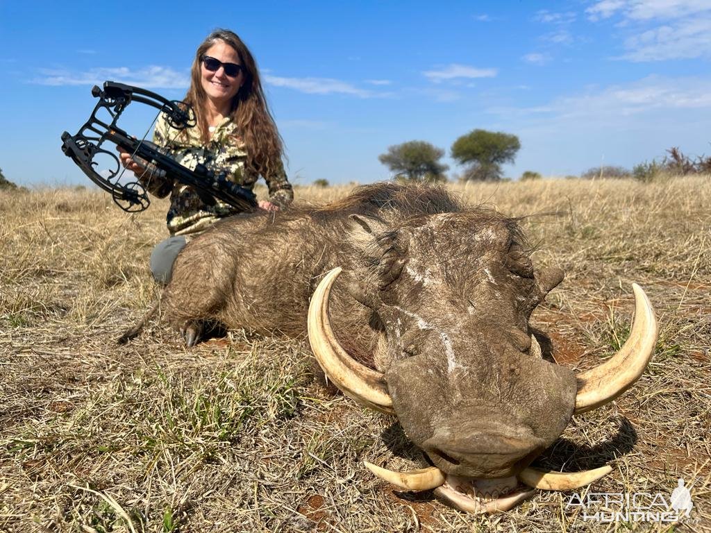 Warthog Bowhunting South Africa