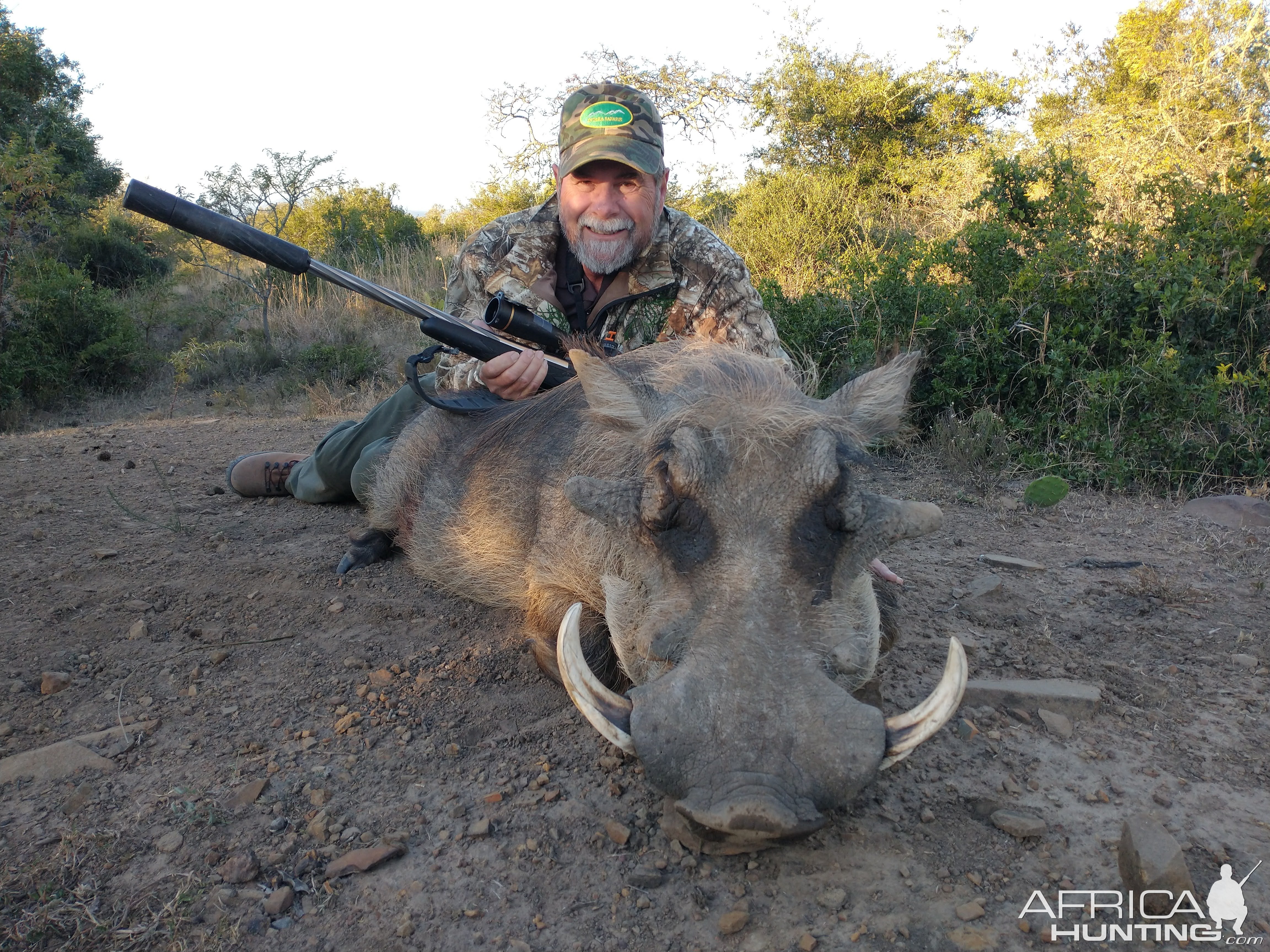 Warthog Hunt  Easten Cape South Africa