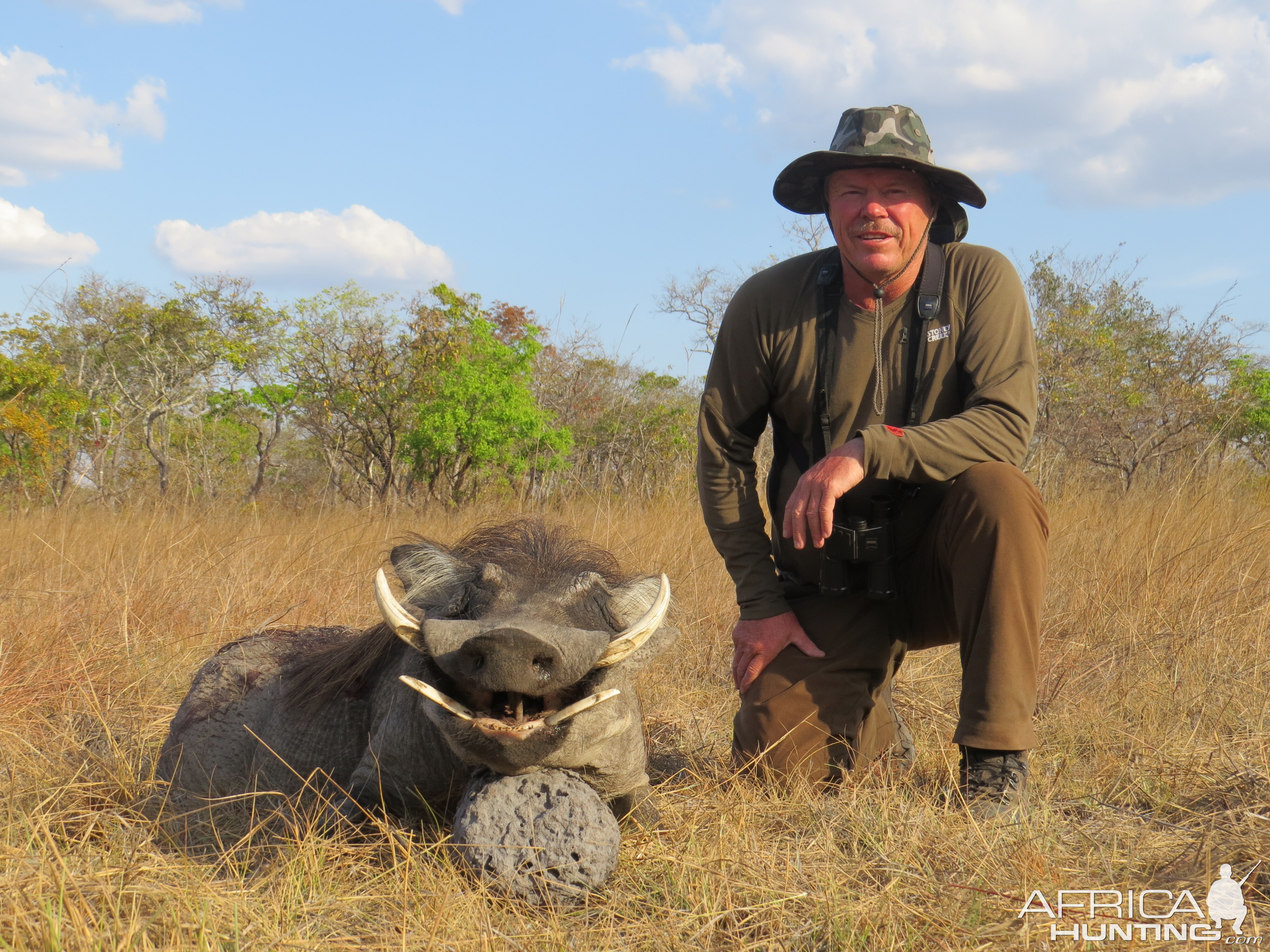Warthog Hunt in Mozambique