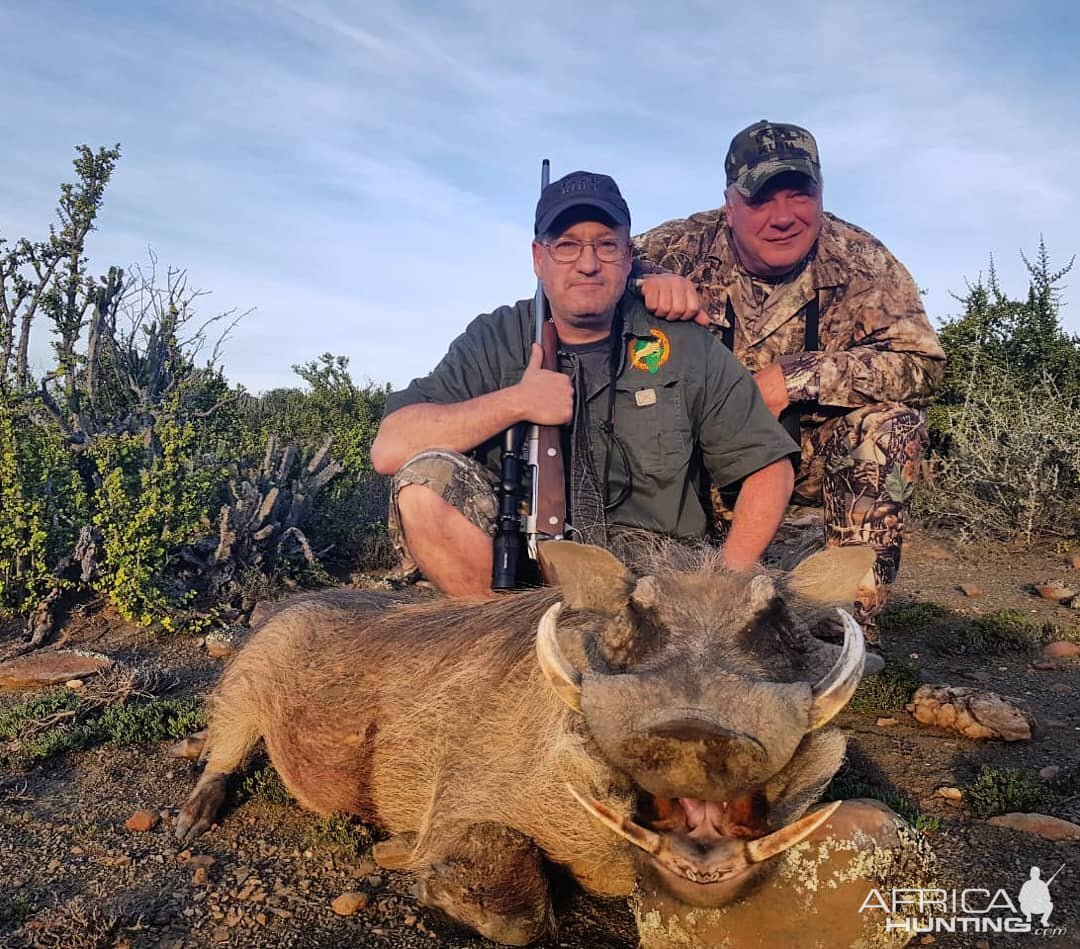 Warthog Hunt in South Africa