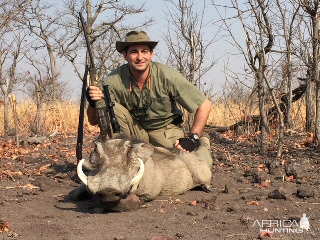 Warthog Hunt in Zimbabwe