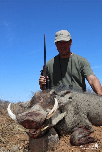 Warthog Hunt Kalahari Namibia
