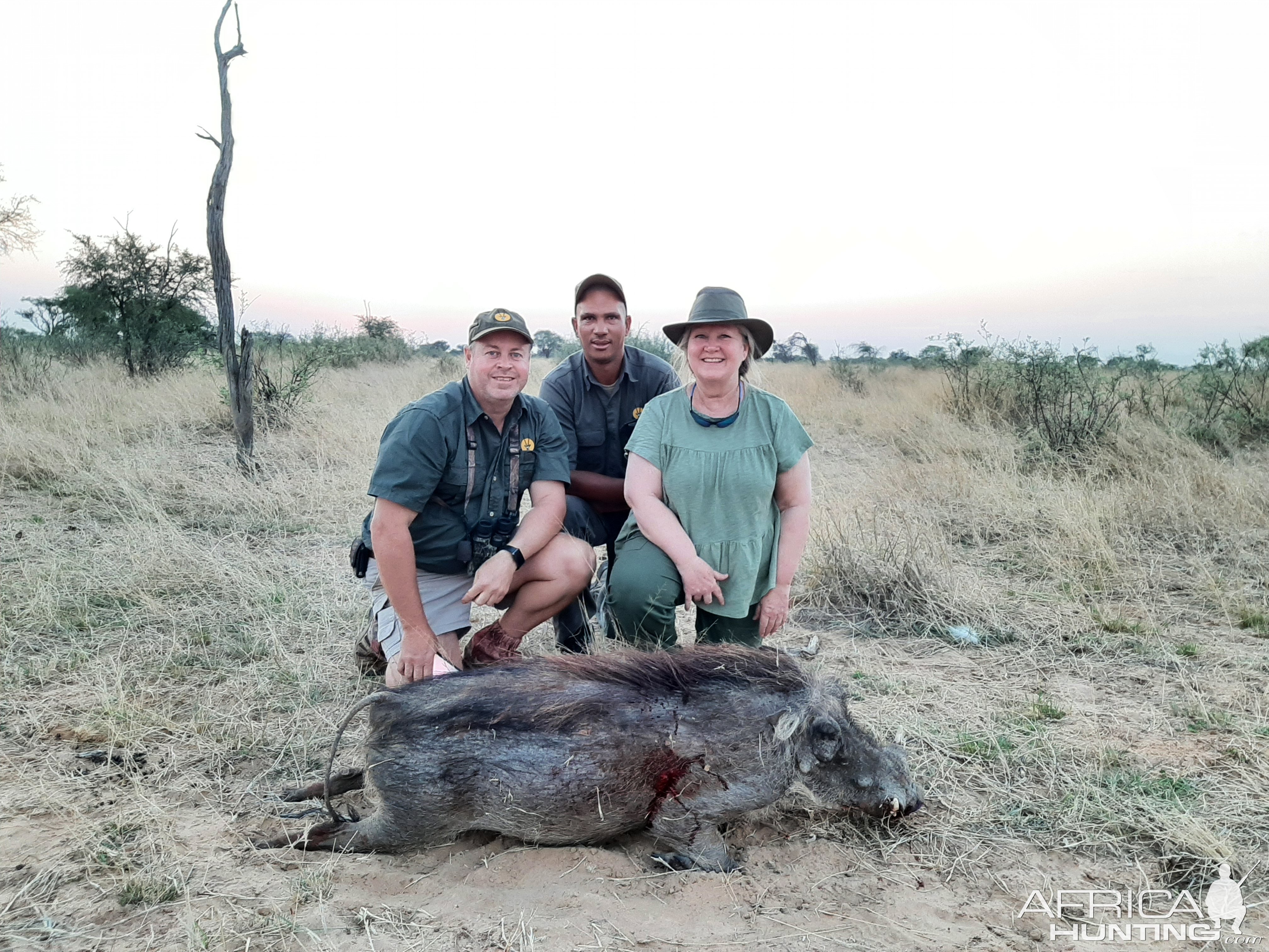 Warthog Hunt Kalahari South Africa