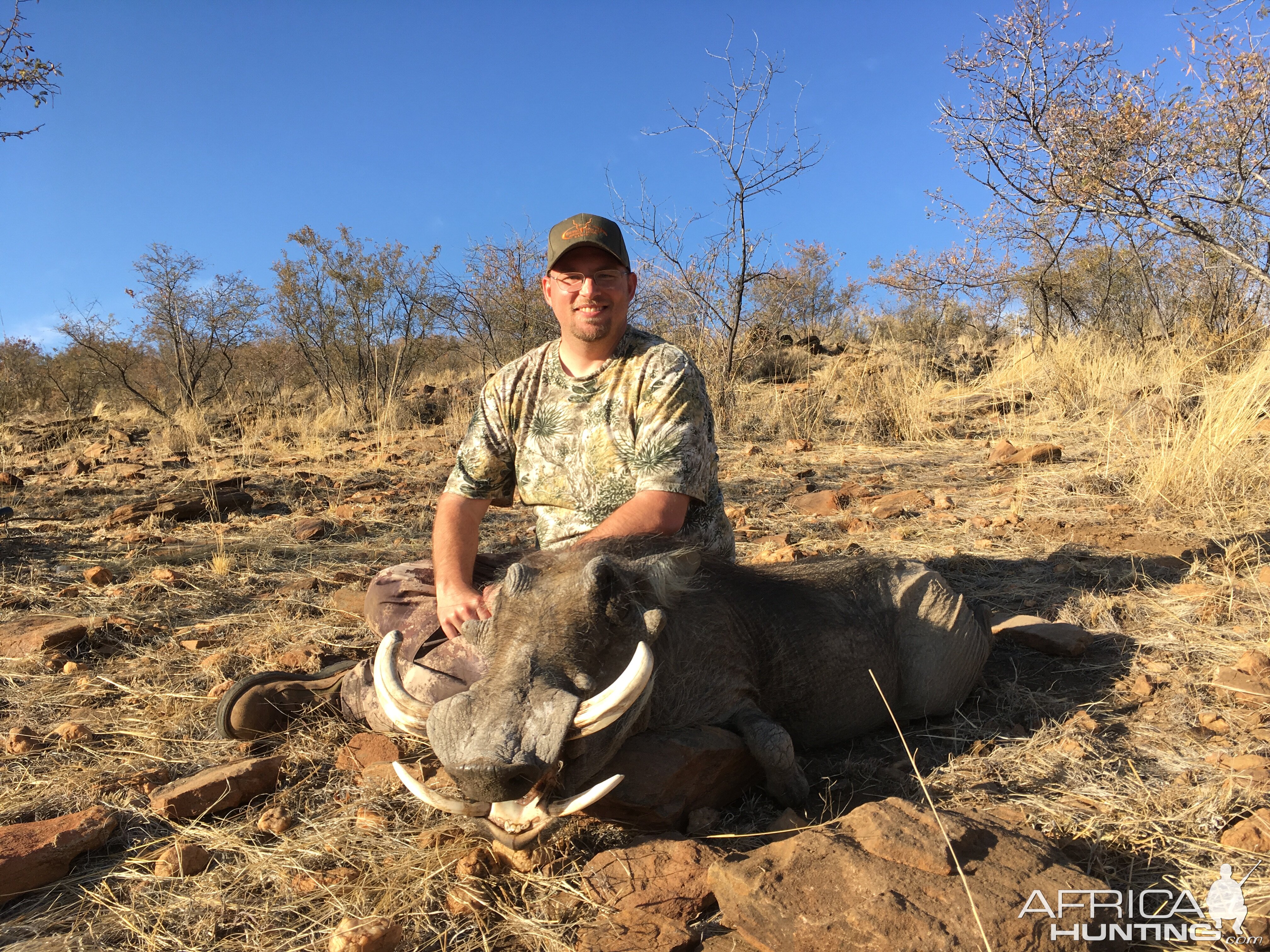 Warthog Hunt Khomas Highland Namibia