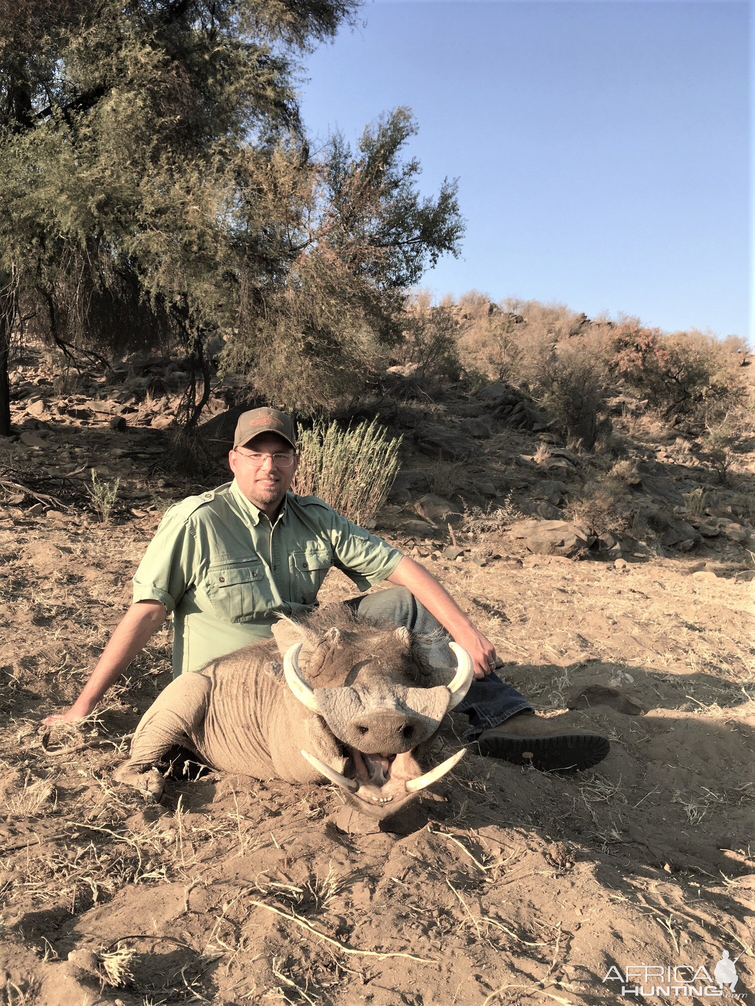 Warthog Hunt Khomas Highland Namibia