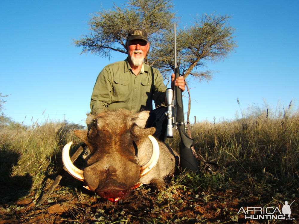 Warthog Hunt Nambia