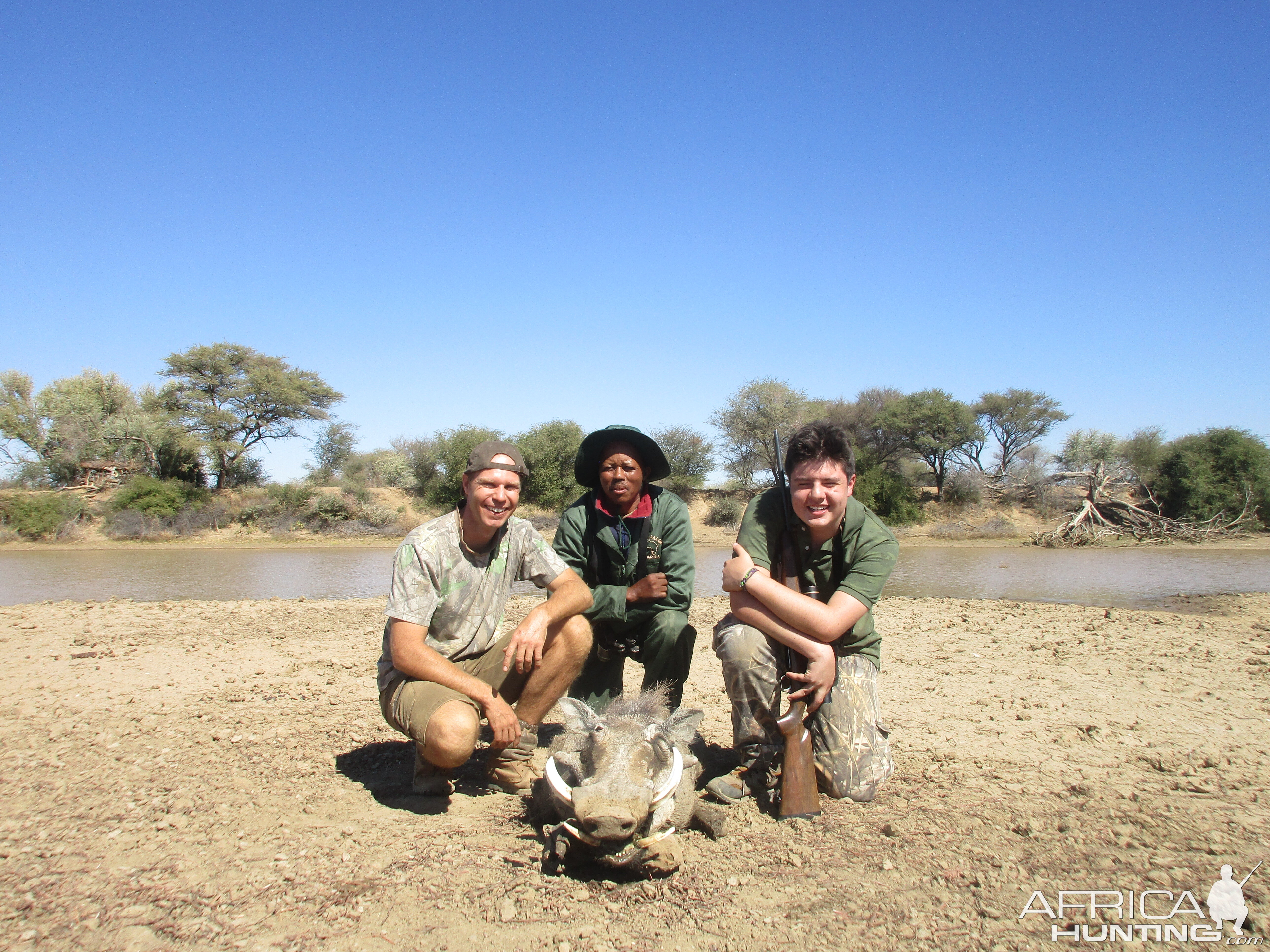 Warthog Hunt Namibia