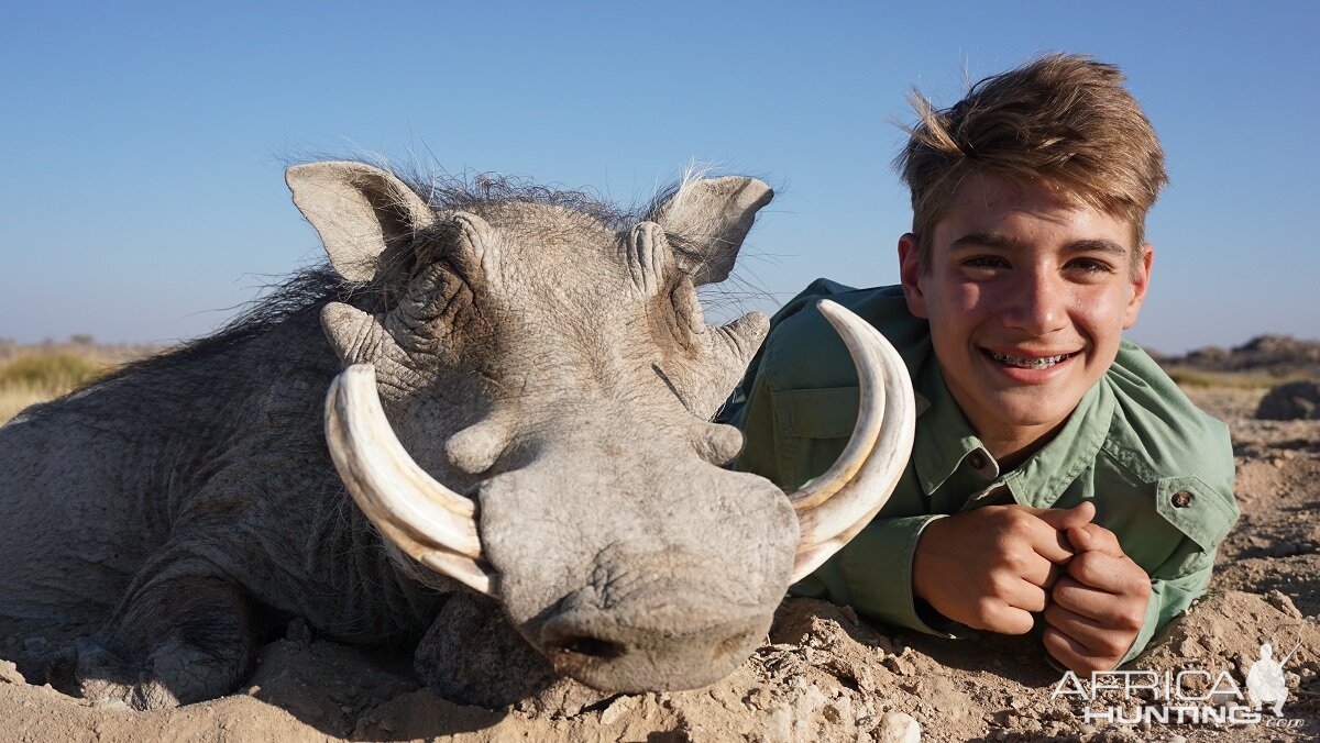 Warthog Hunt Namibia