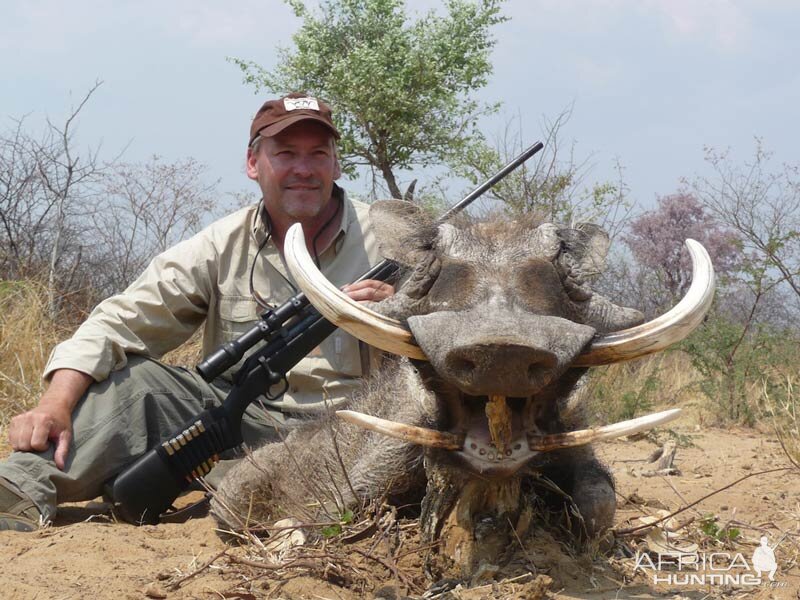 Warthog Hunt Namibia