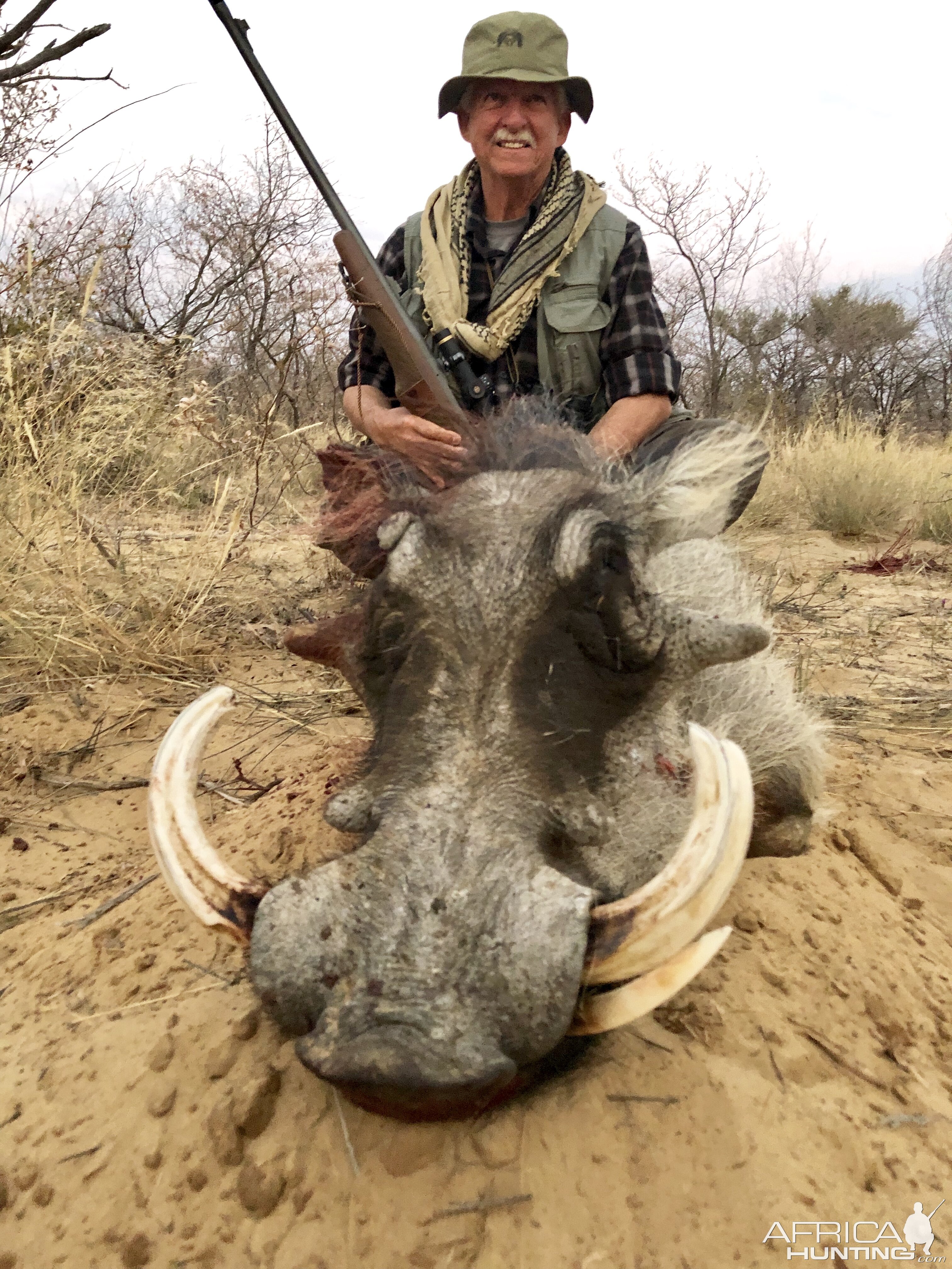 Warthog Hunt  South Africa