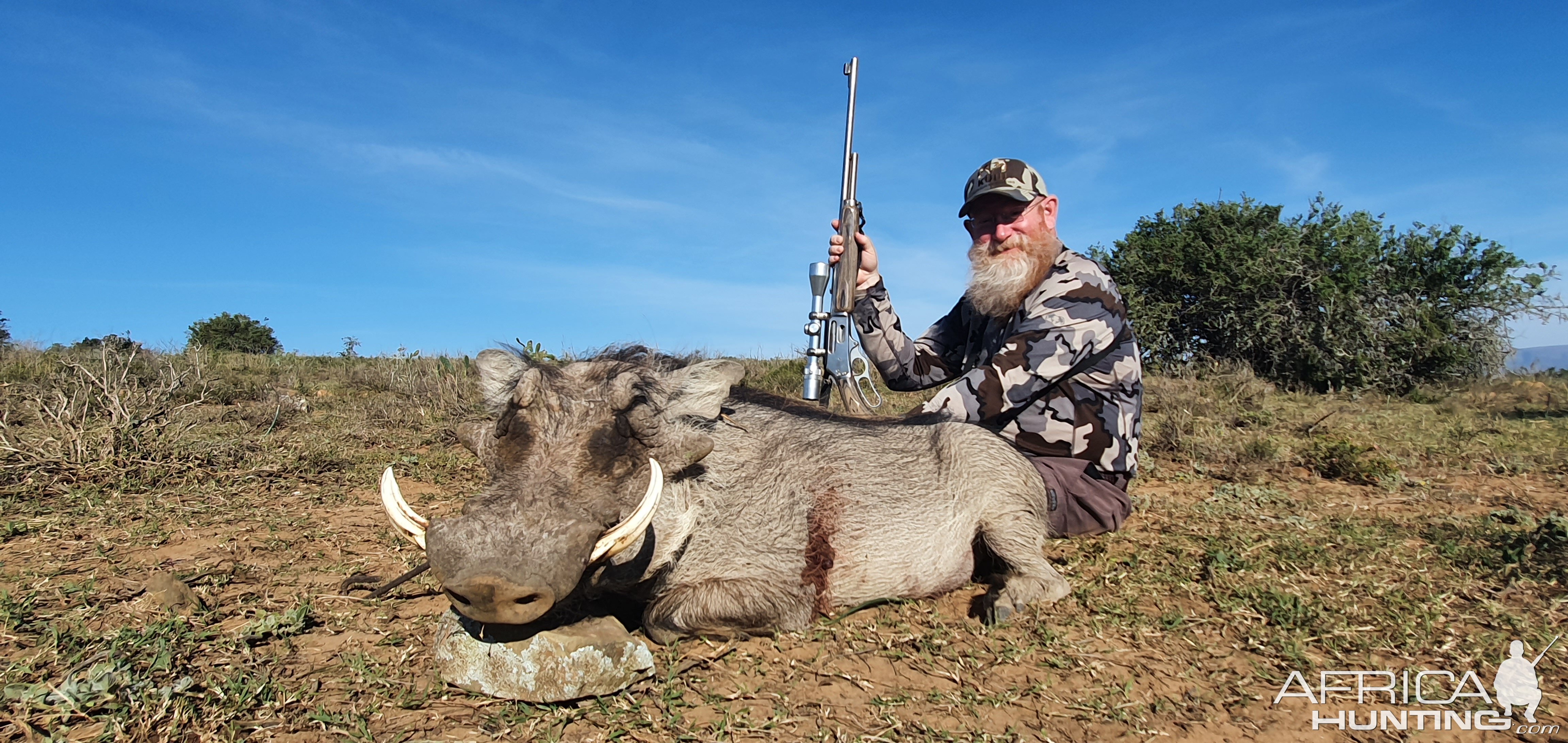 Warthog Hunt South Africa