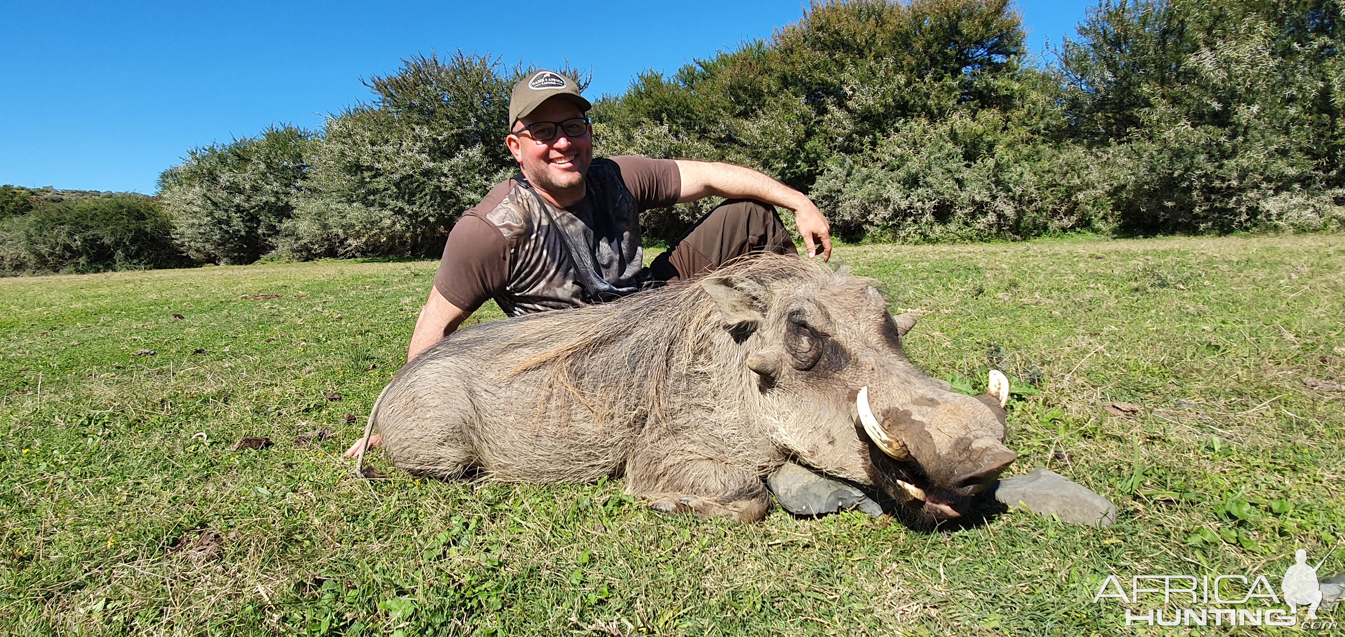 Warthog Hunt South Africa