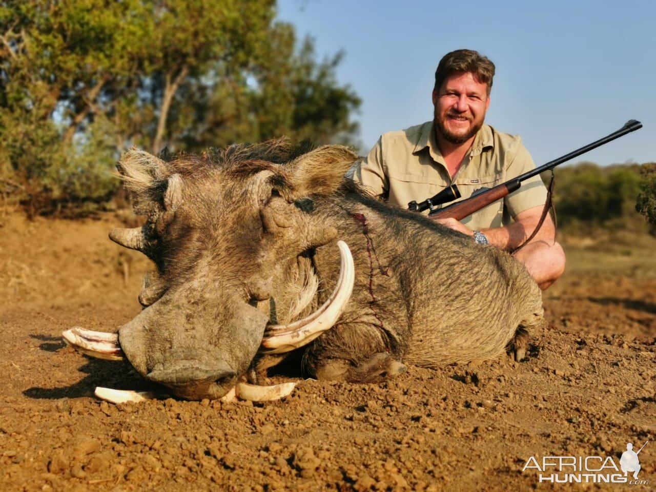 Warthog Hunt South Africa