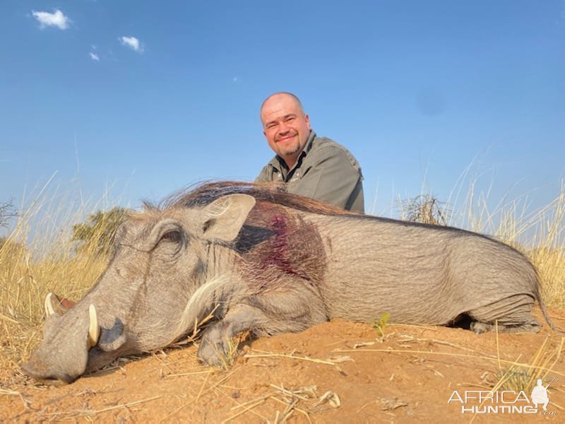 Warthog Hunt South Africa