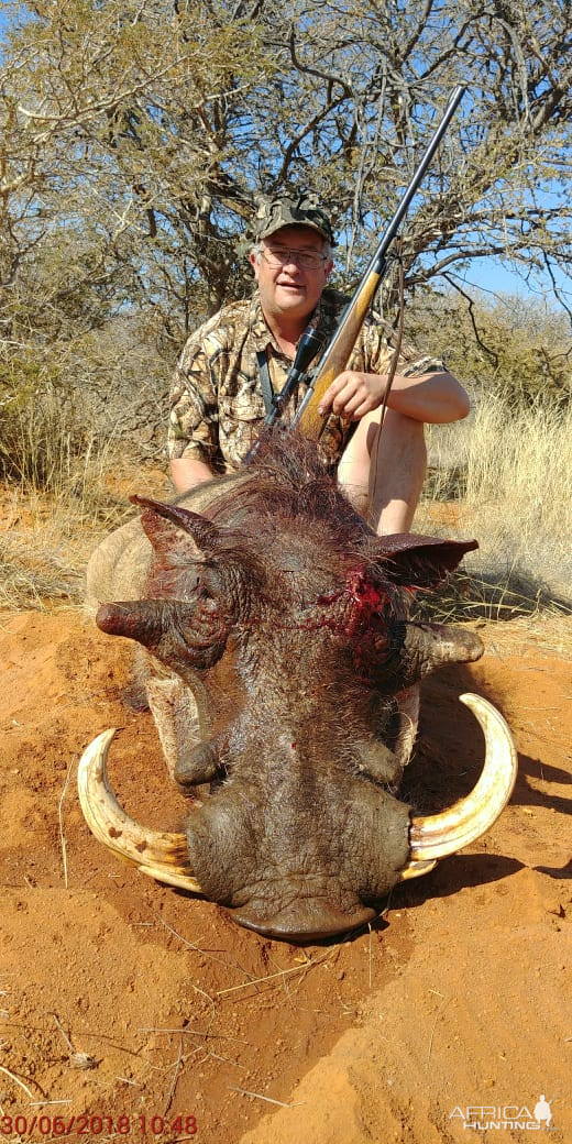 Warthog Hunt South Africa