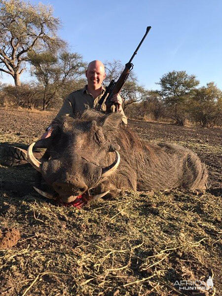 Warthog Hunt South Africa