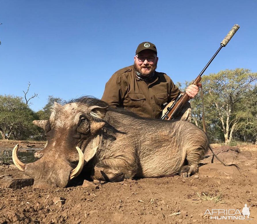 Warthog Hunt South Africa