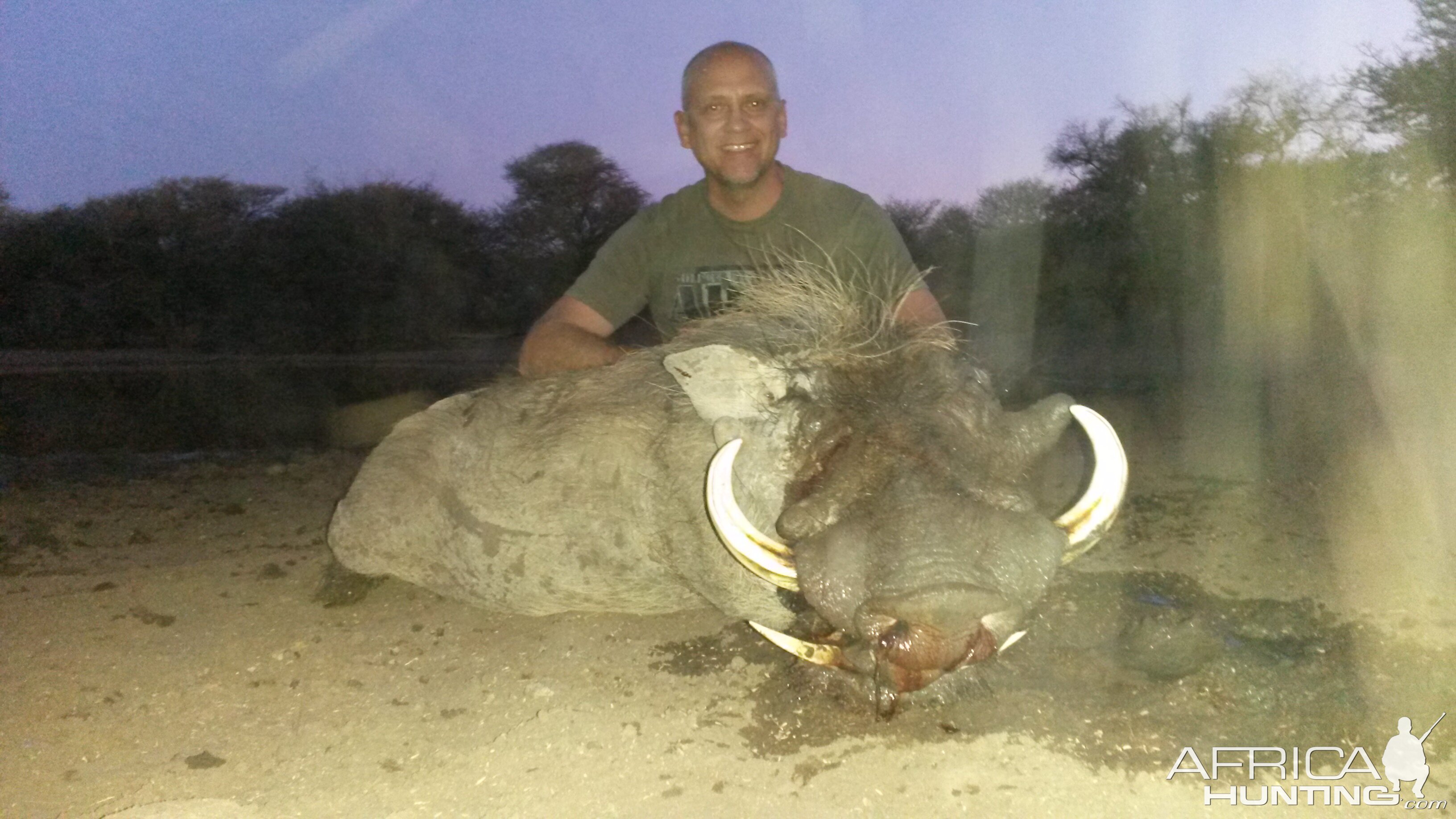 Warthog Hunt South Africa