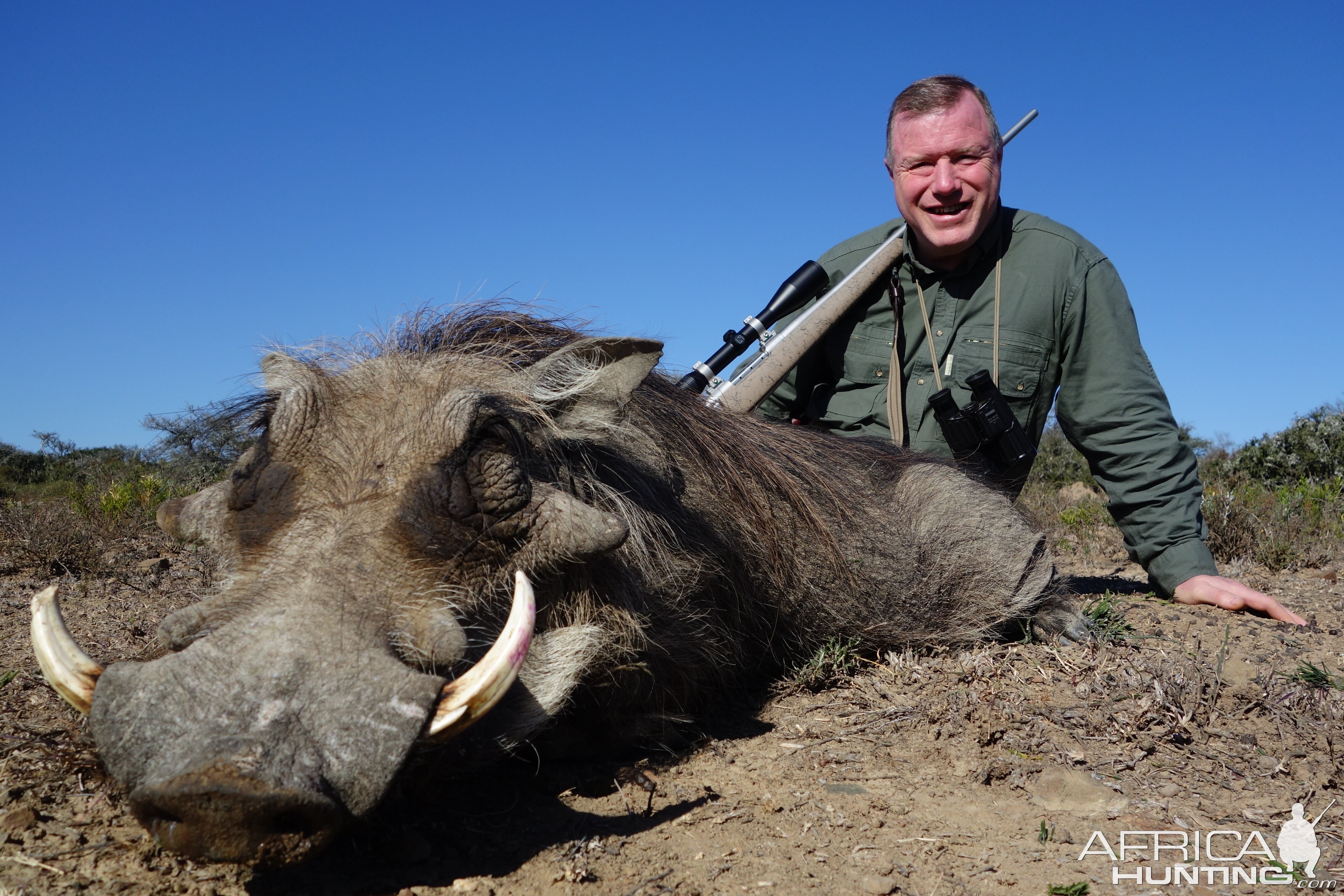 Warthog Hunt South Africa