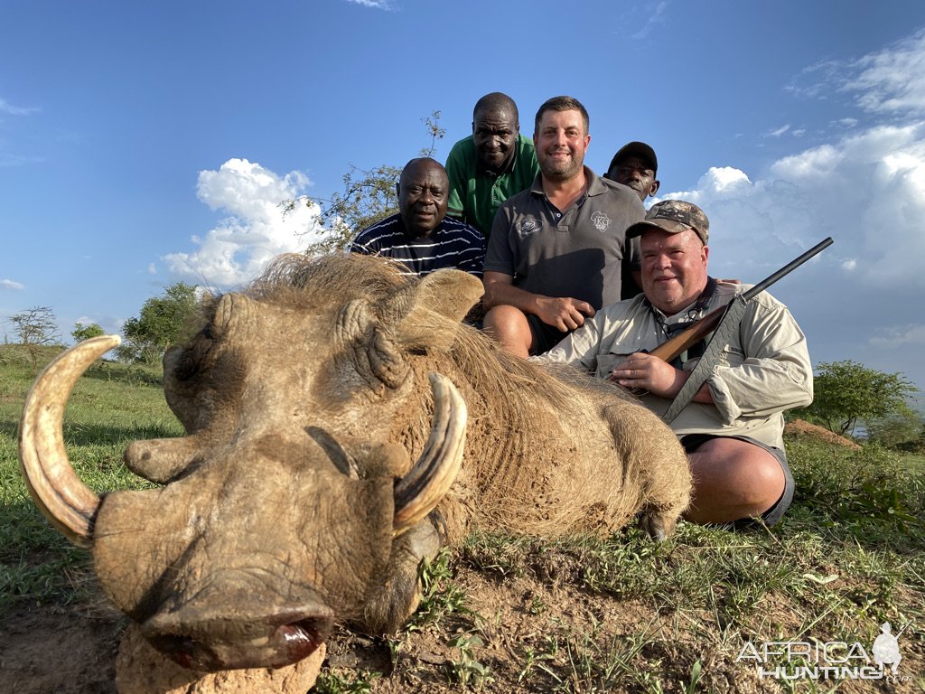 Warthog Hunt Uganda