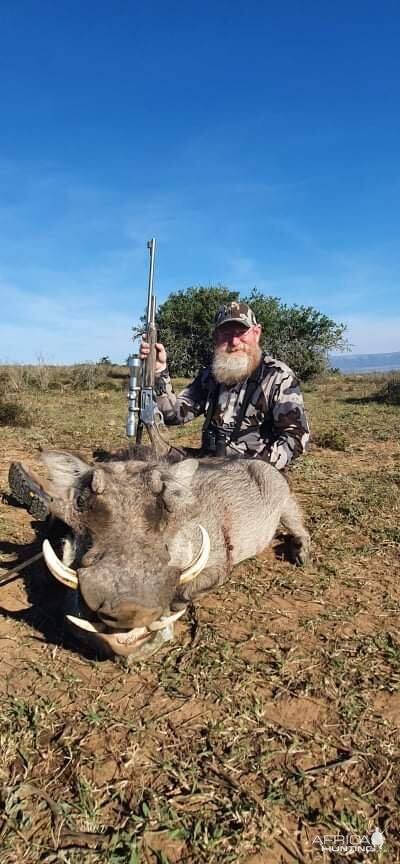 Warthog Hunt